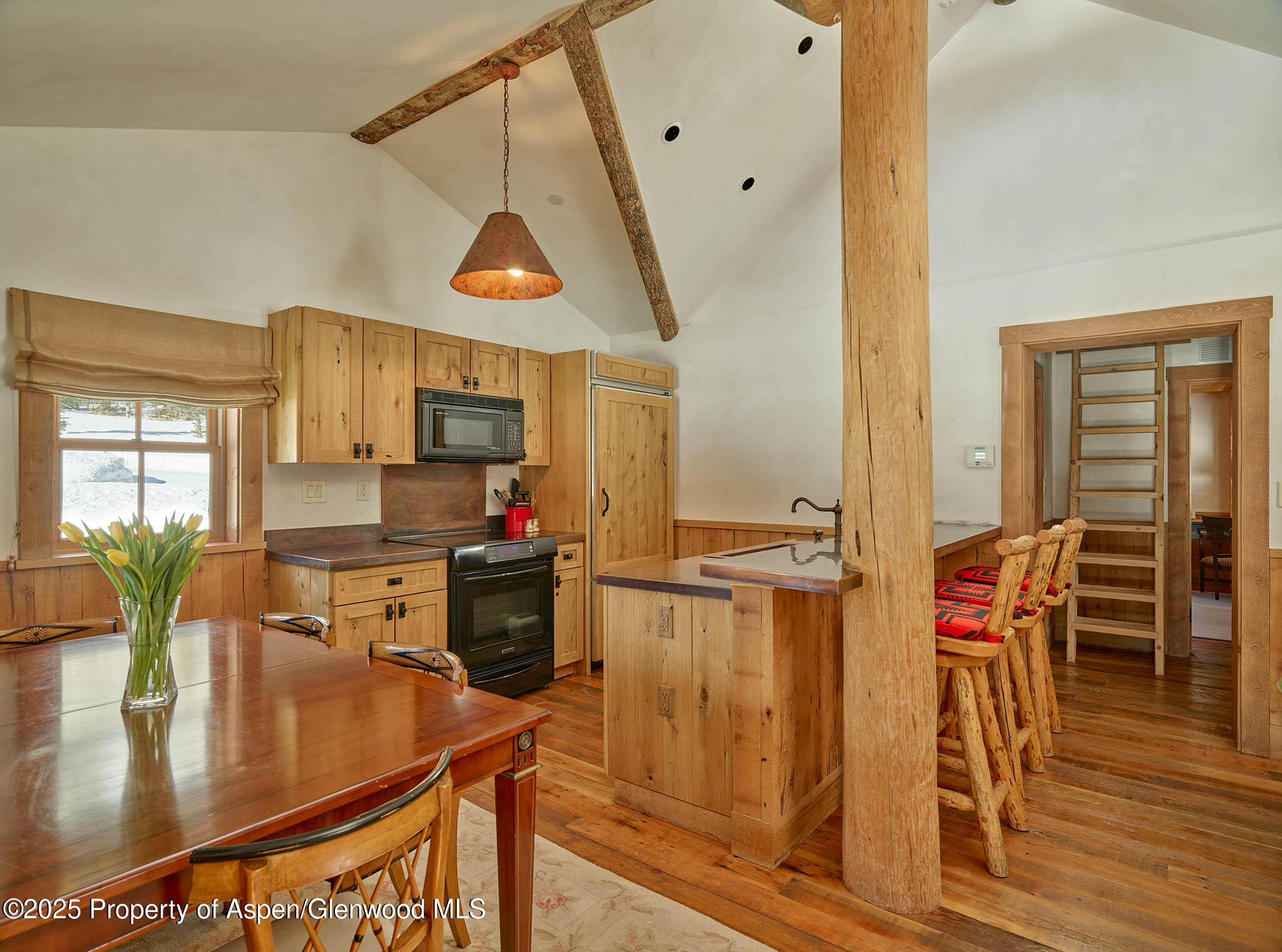 125 Rooney Circle Aspen CO 81611