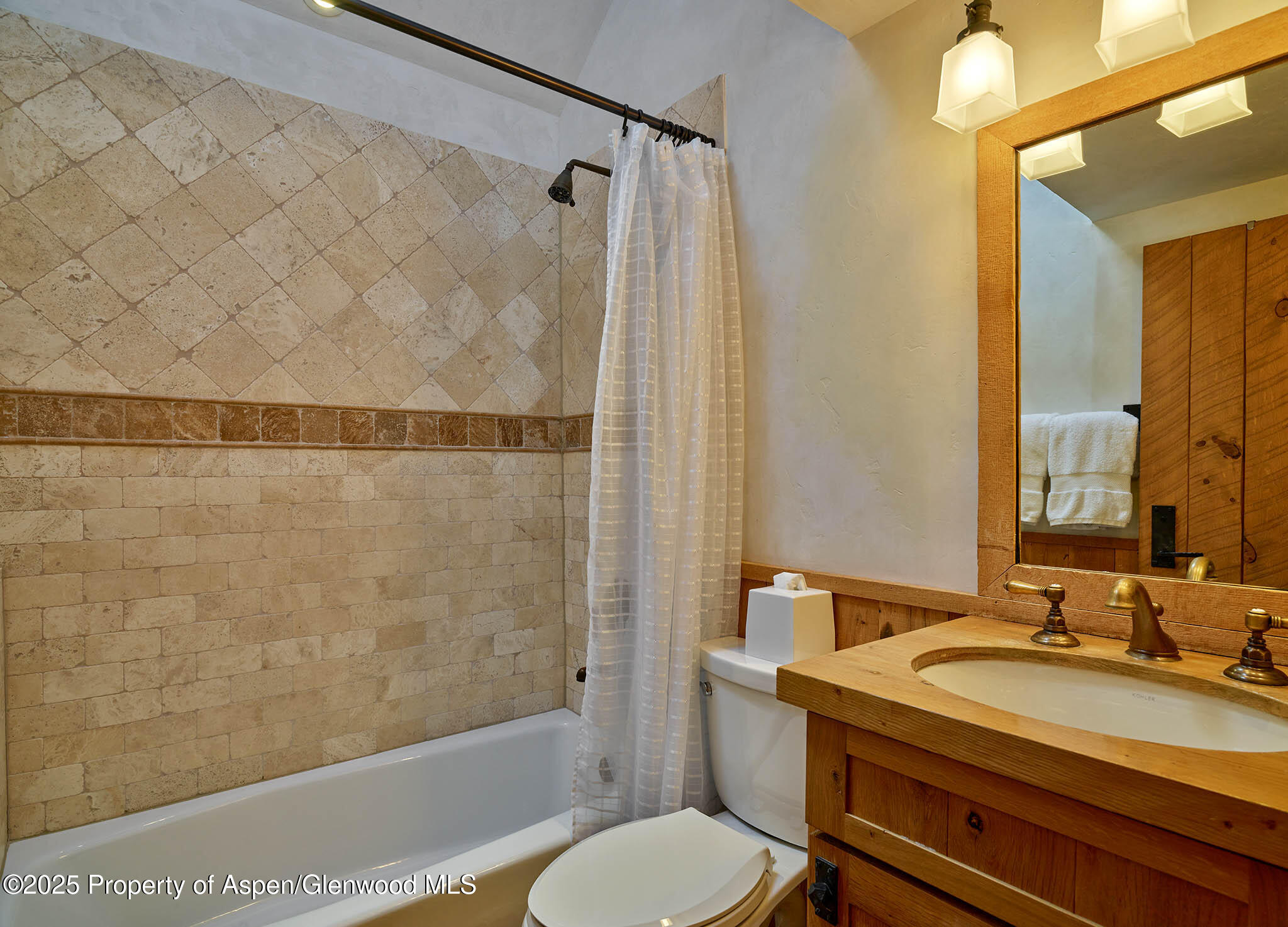 125 Rooney Circle Aspen CO 81611