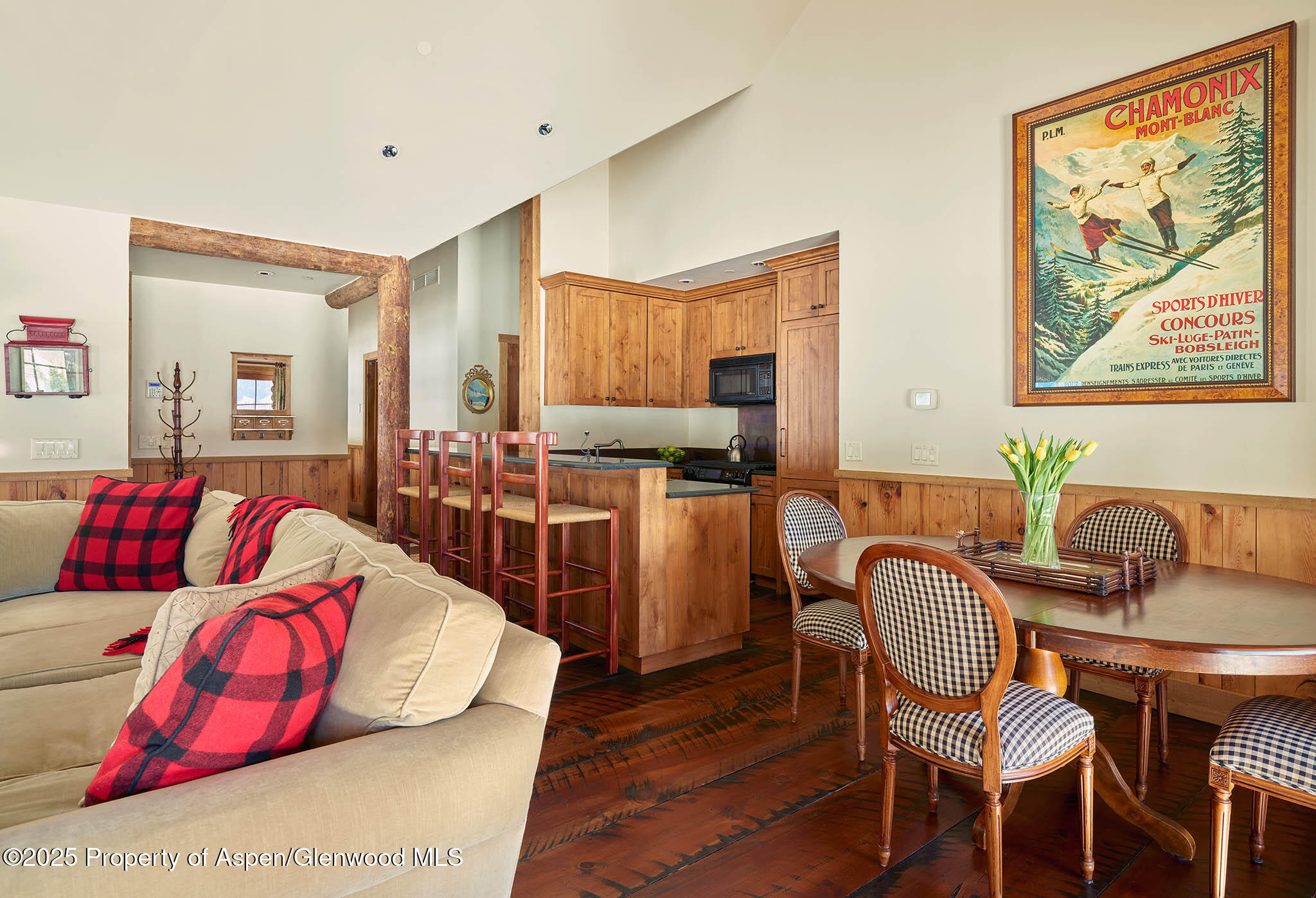 125 Rooney Circle Aspen CO 81611