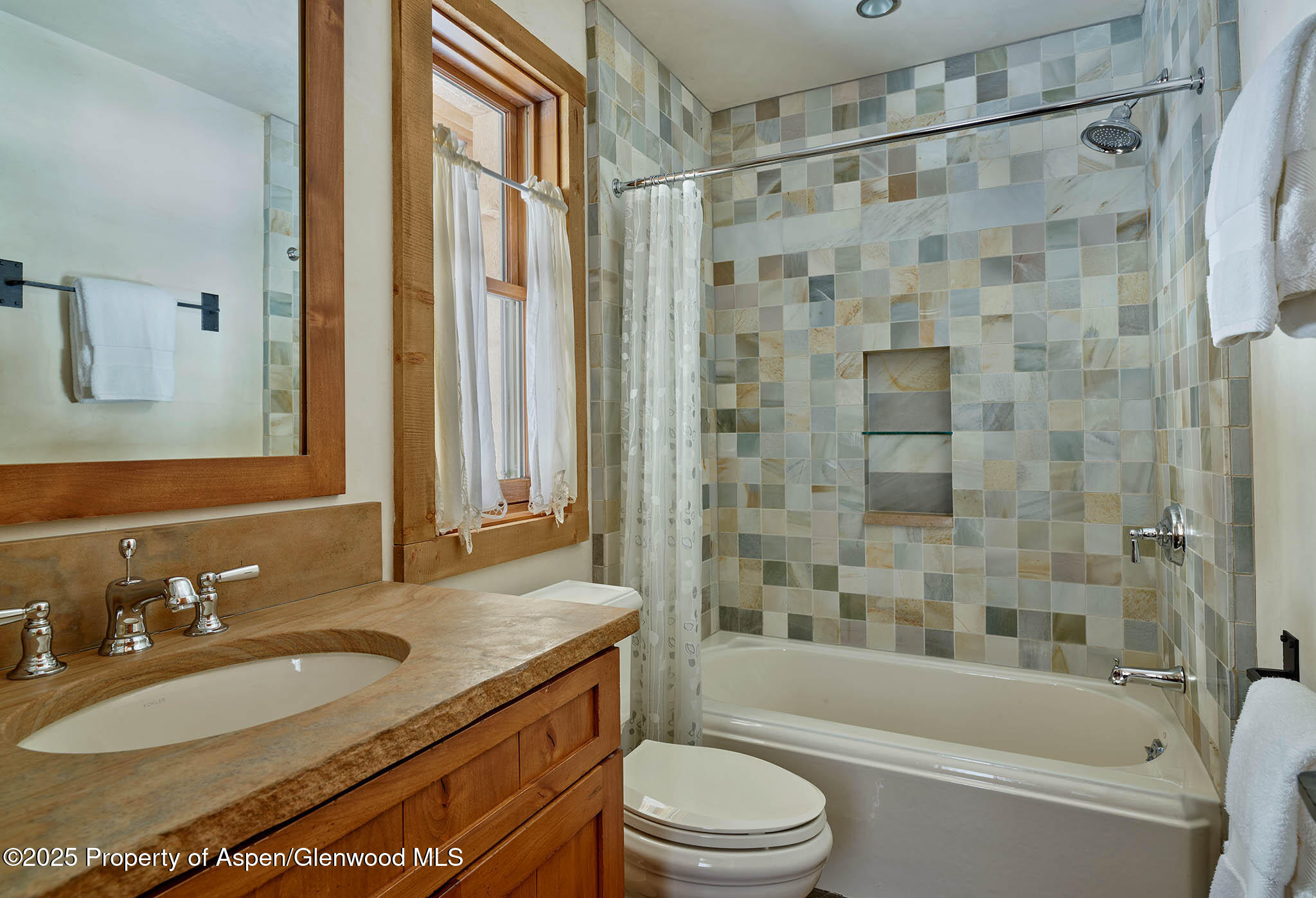 125 Rooney Circle Aspen CO 81611