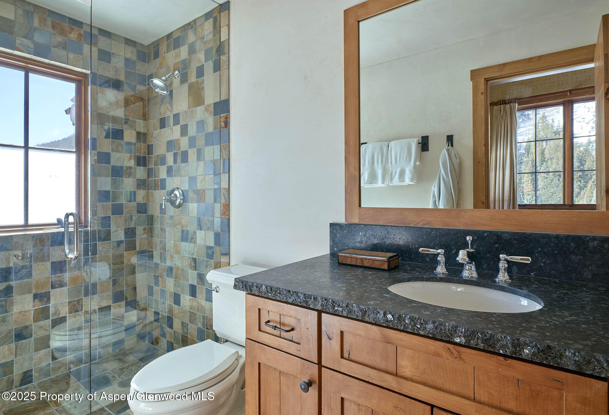 125 Rooney Circle Aspen CO 81611