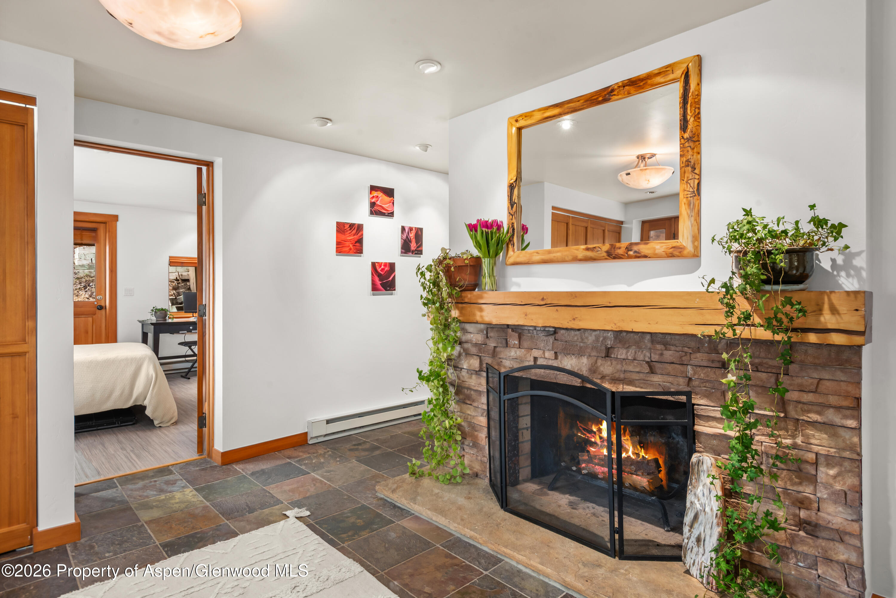 167 Picket Pin Lane Snowmass CO 81654