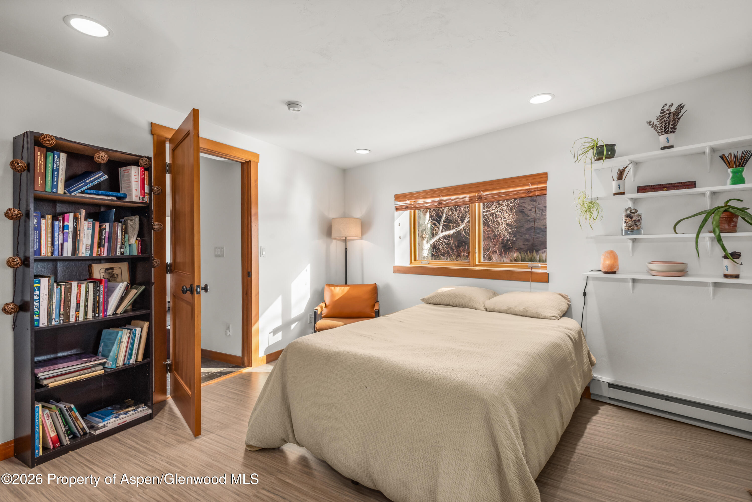 167 Picket Pin Lane Snowmass CO 81654