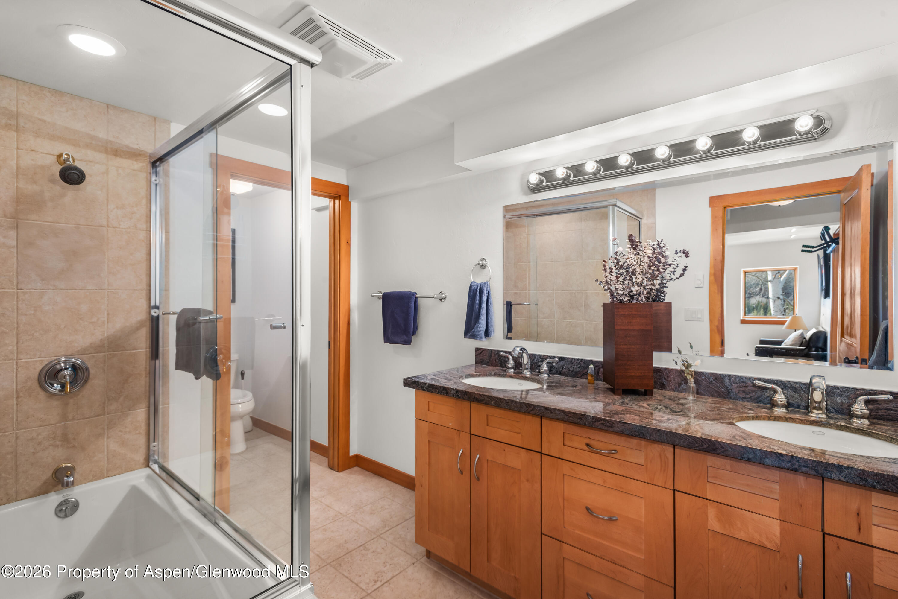 167 Picket Pin Lane Snowmass CO 81654