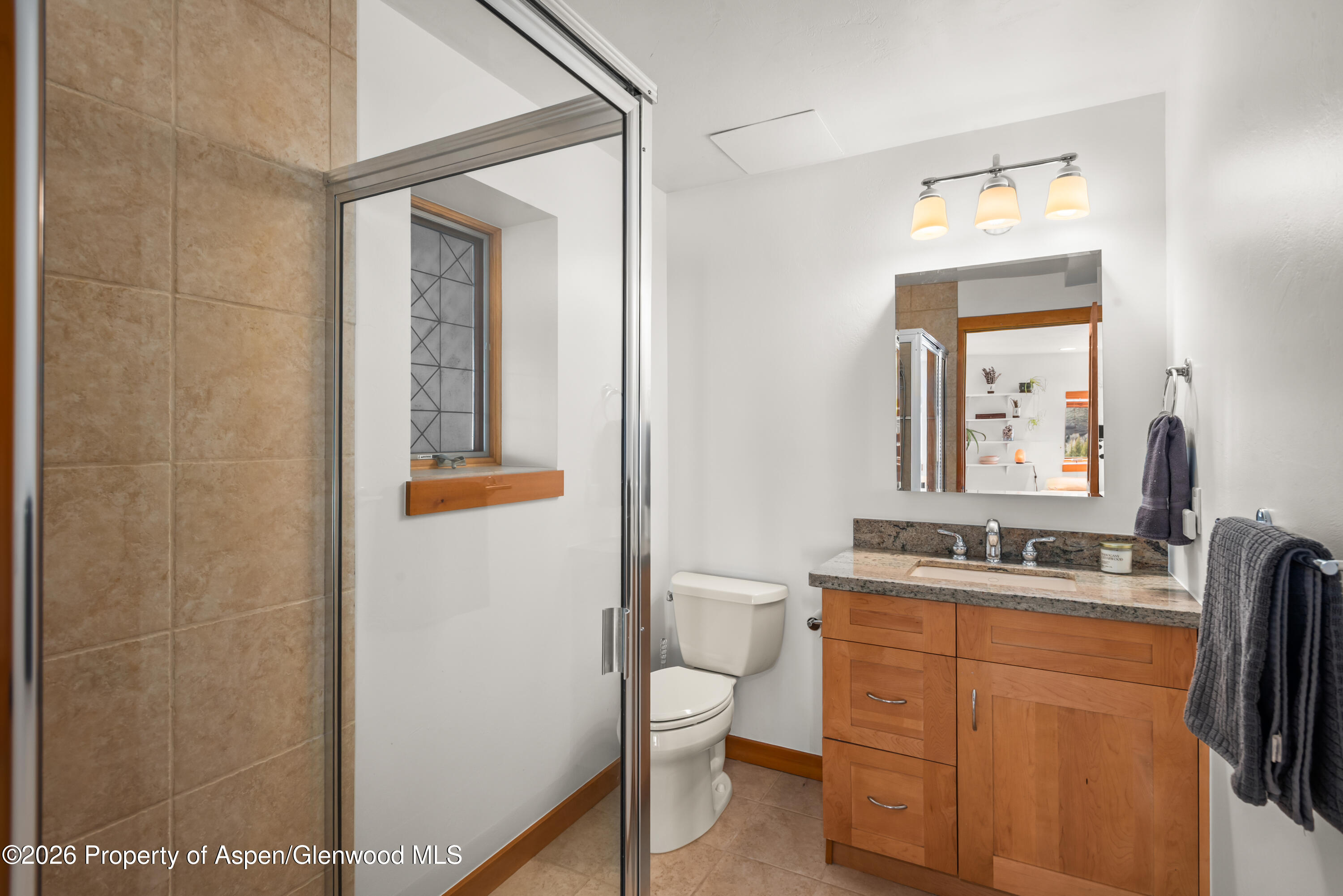 167 Picket Pin Lane Snowmass CO 81654