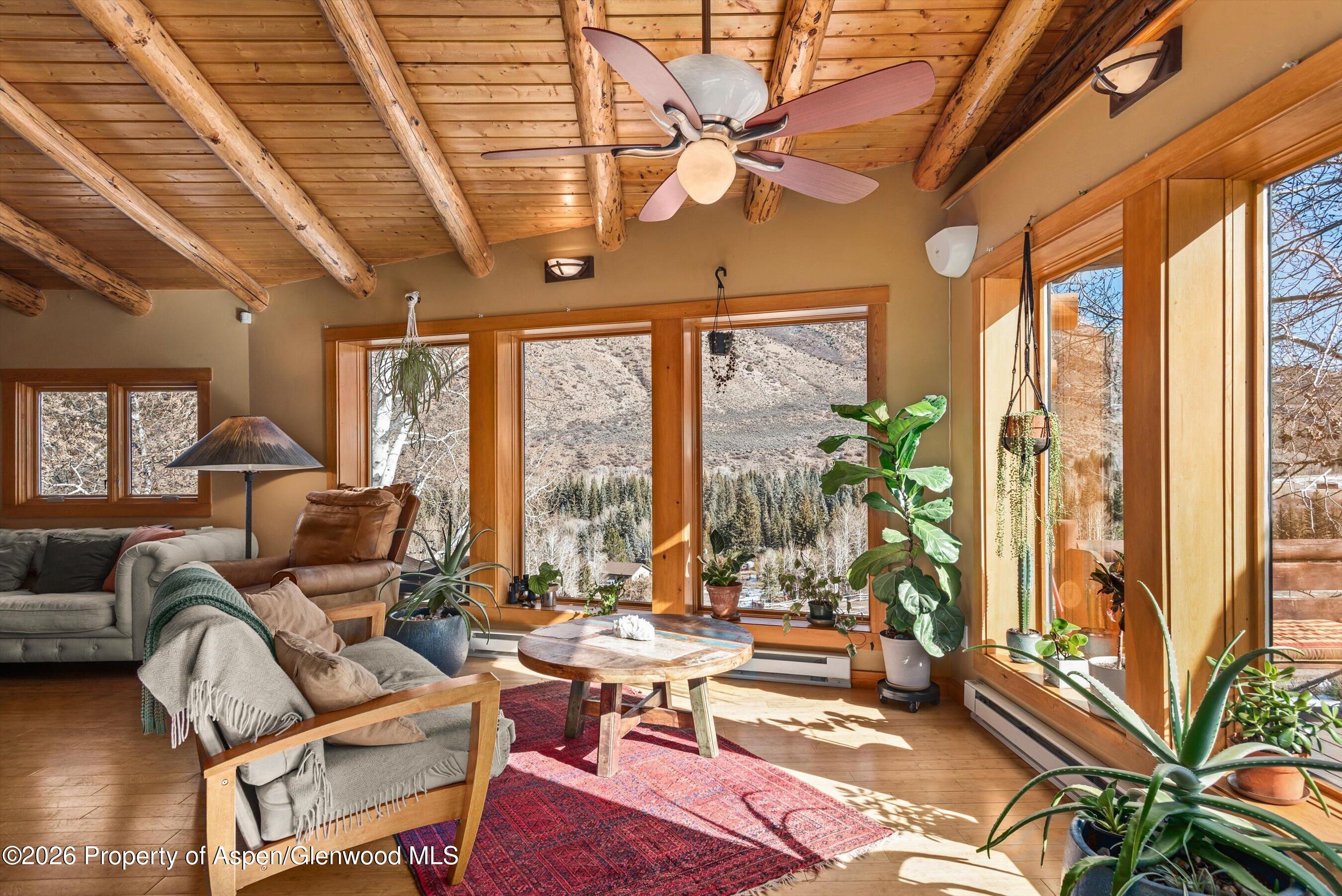 167 Picket Pin Lane Snowmass CO 81654