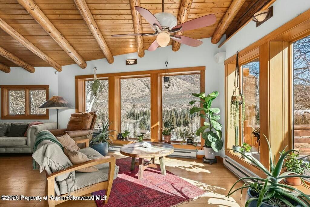 167 Picket Pin Lane Snowmass CO 81654