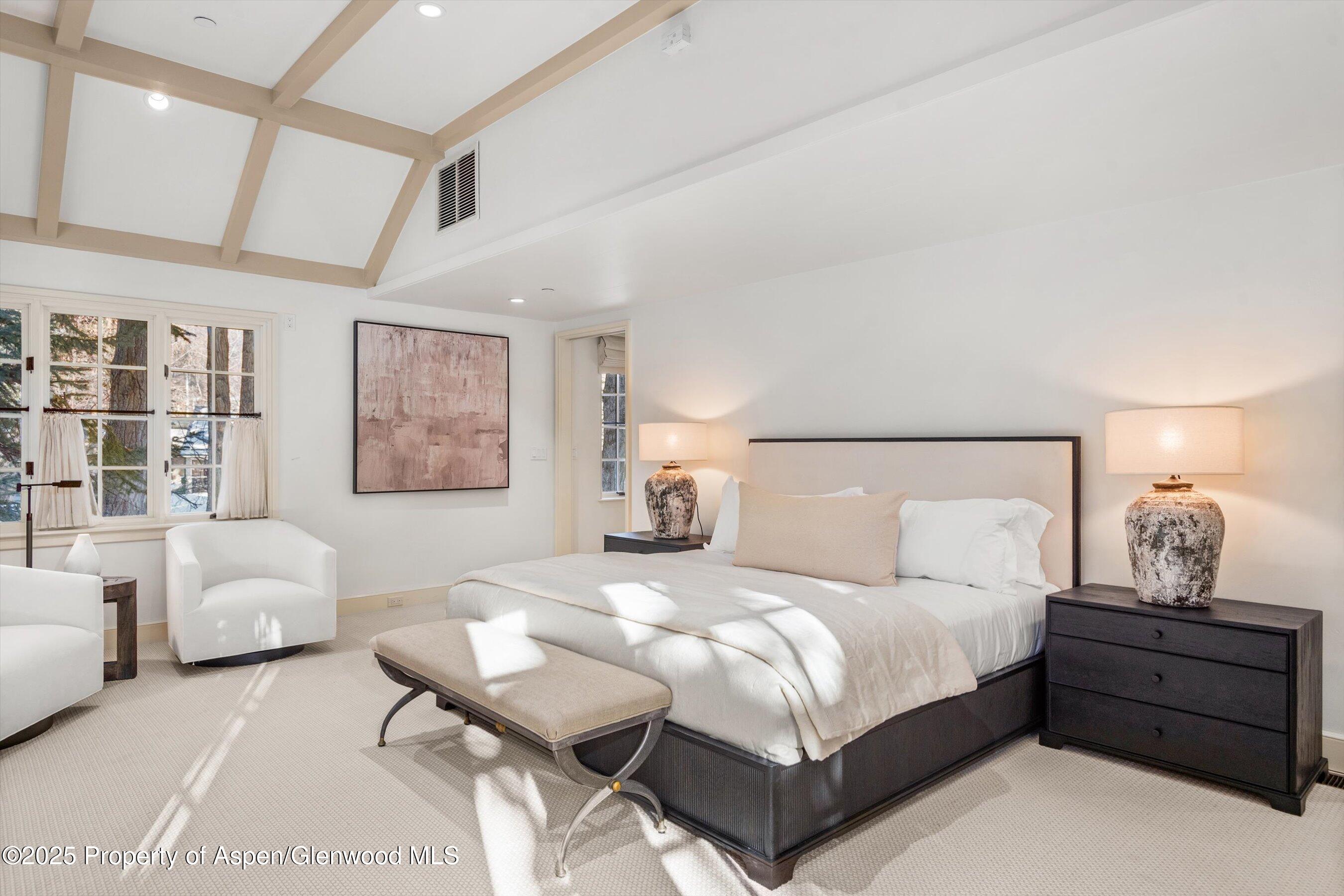 721 W North Street Aspen CO 81611