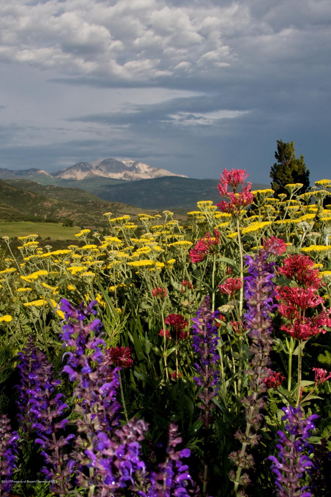 1220 Watson Divide Road Snowmass CO 81654