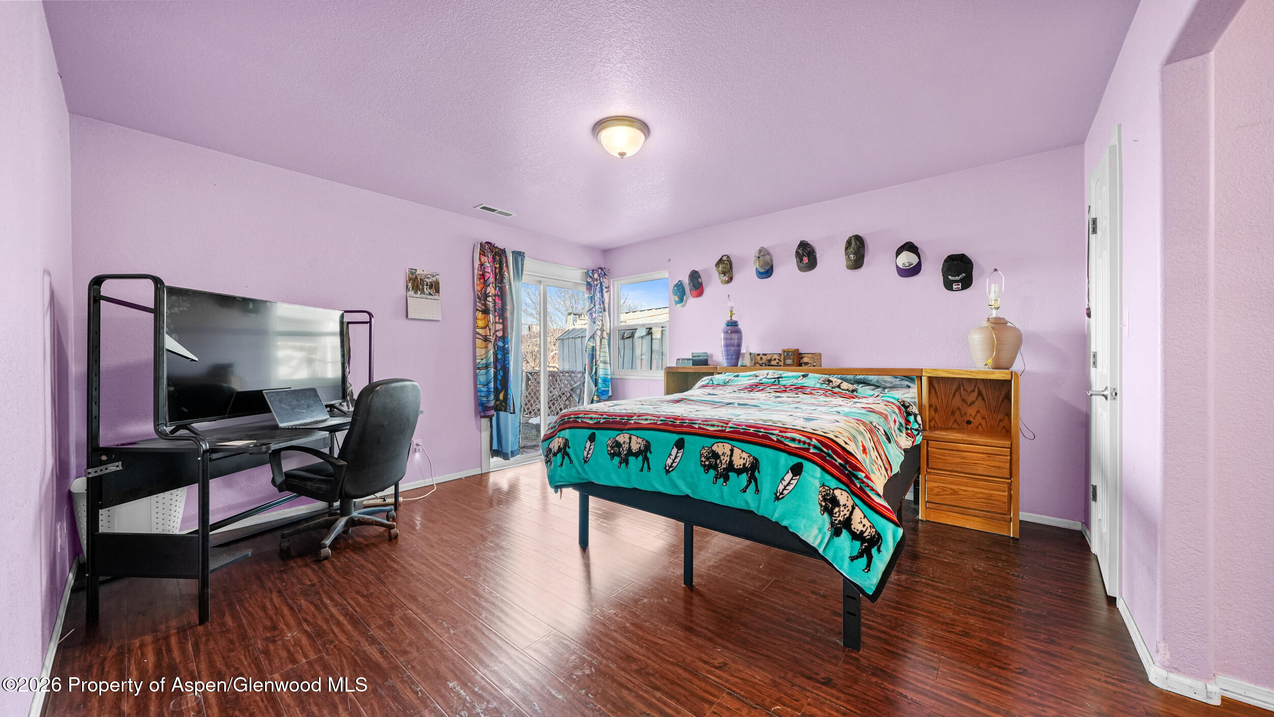 367 N Lake Court Fruita CO 81521