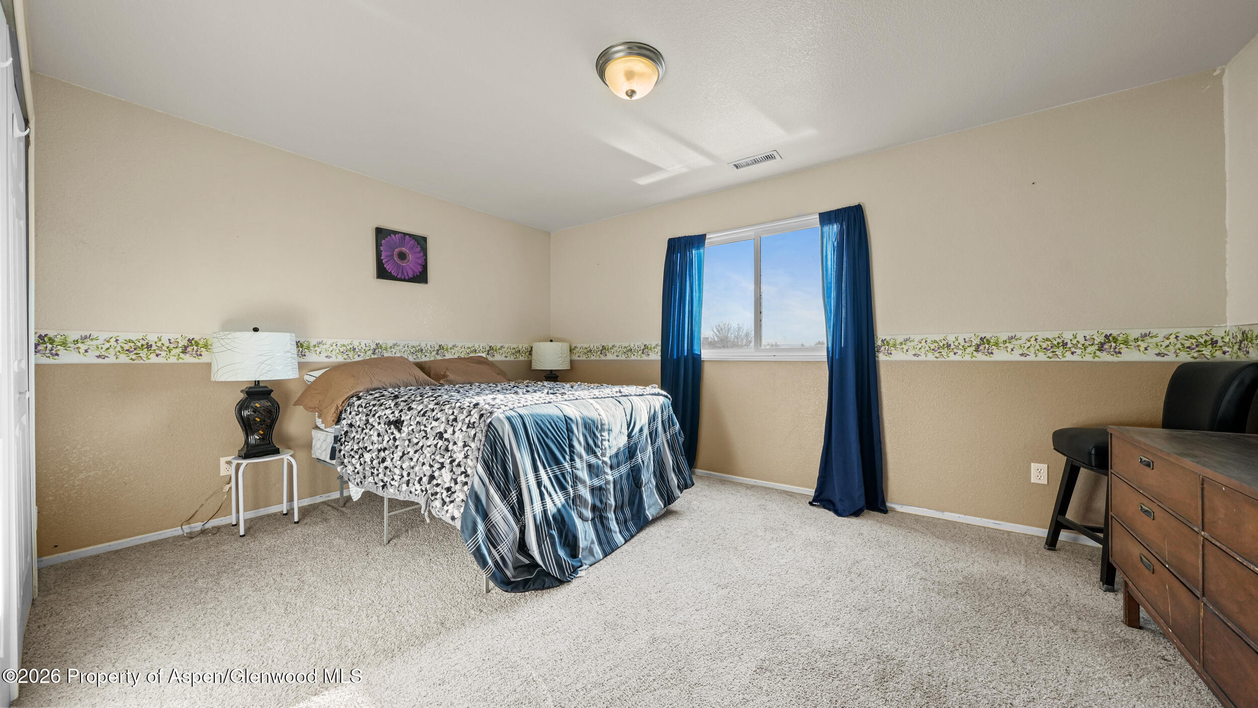 367 N Lake Court Fruita CO 81521