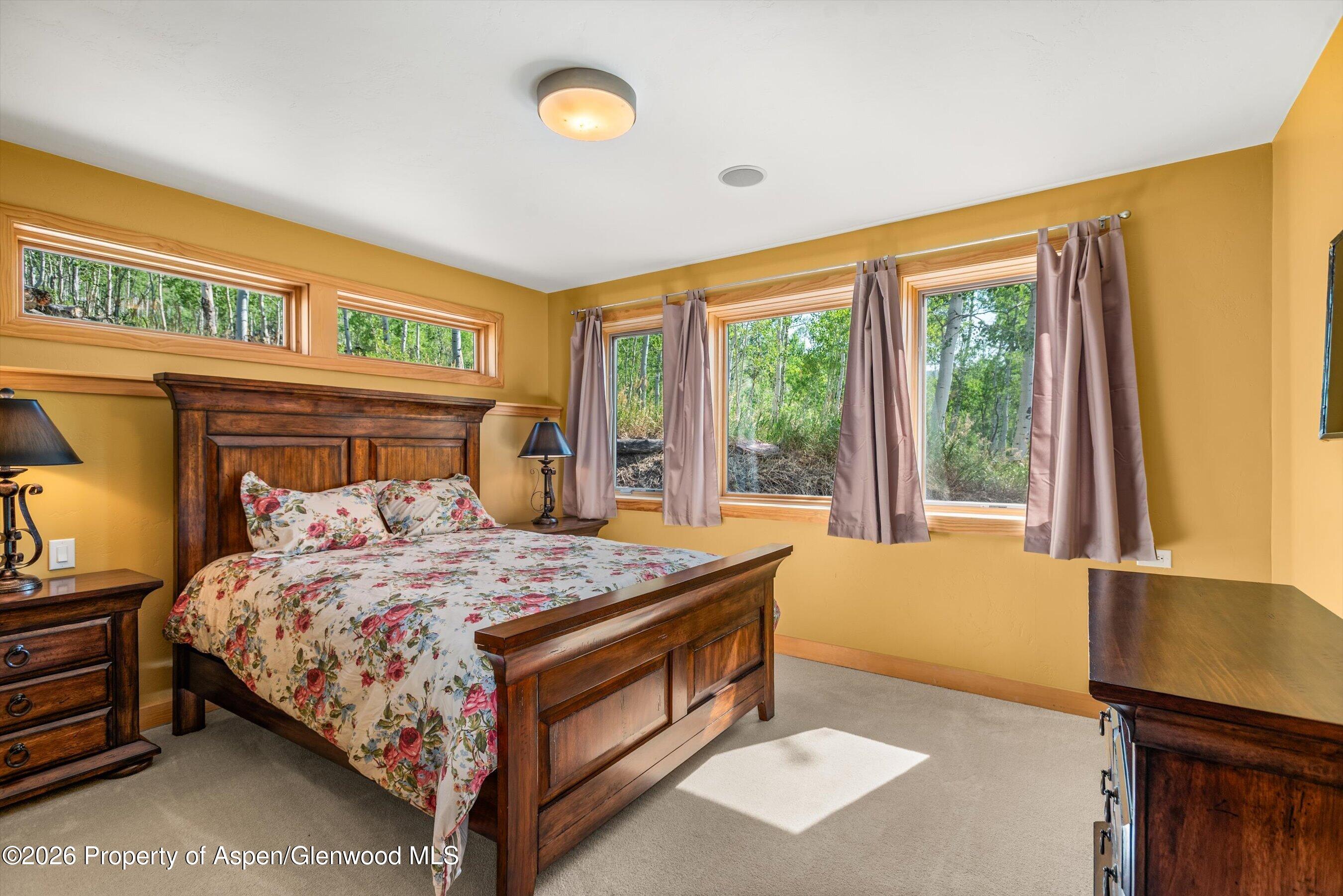170 Regatta Drive Basalt CO 81621