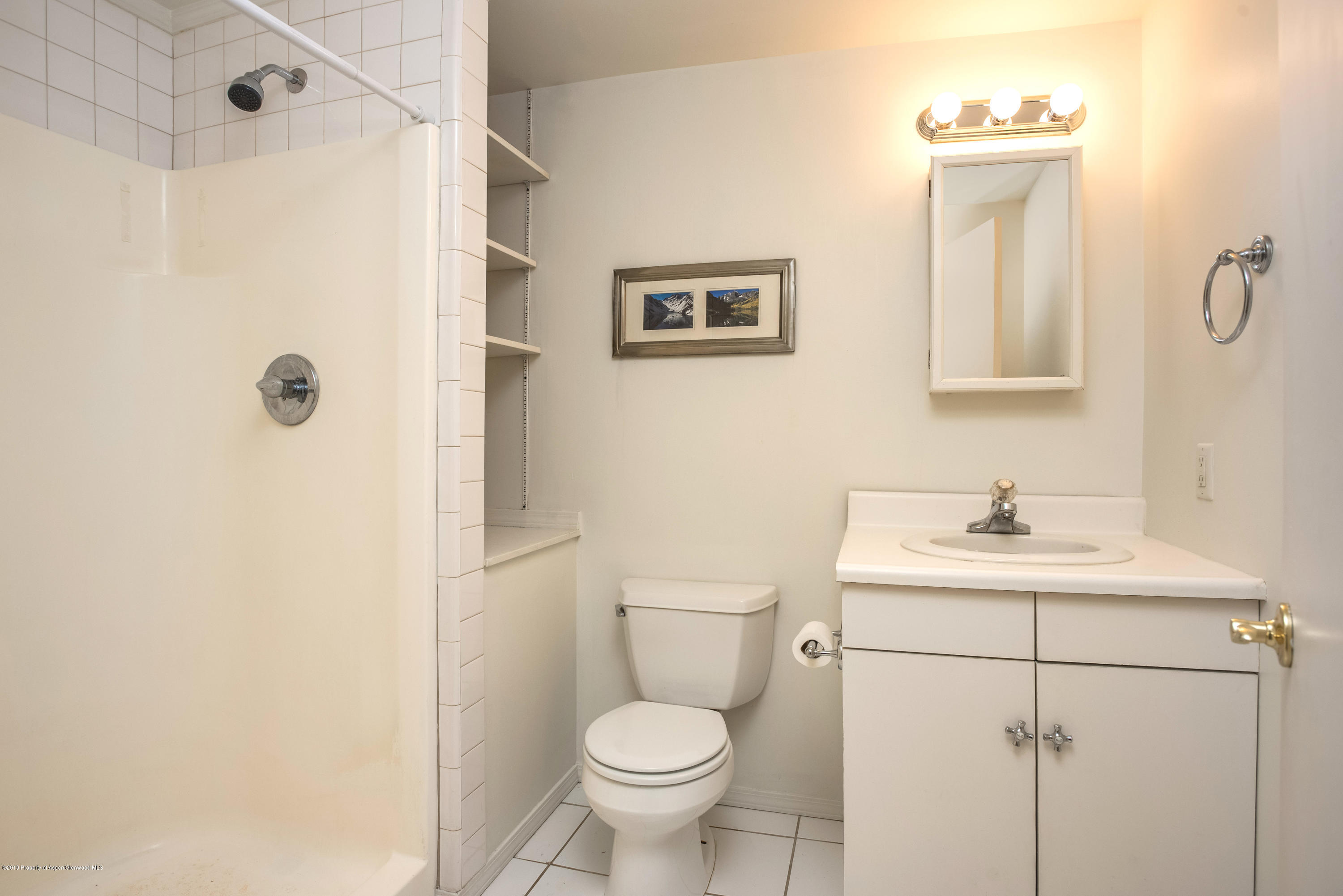 304 Red Tail Lane Basalt CO 81621