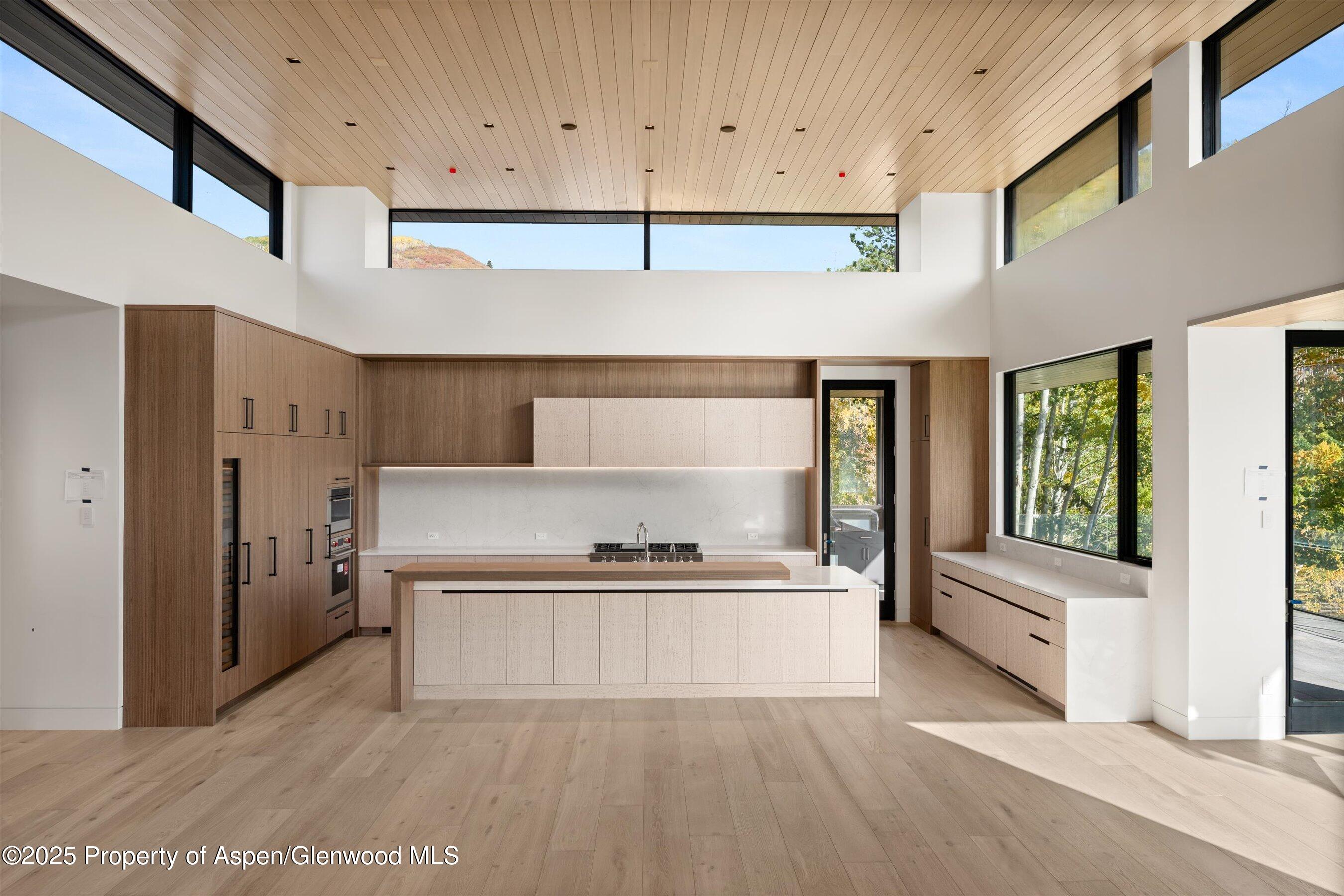 401 Carroll Drive Aspen CO 81611