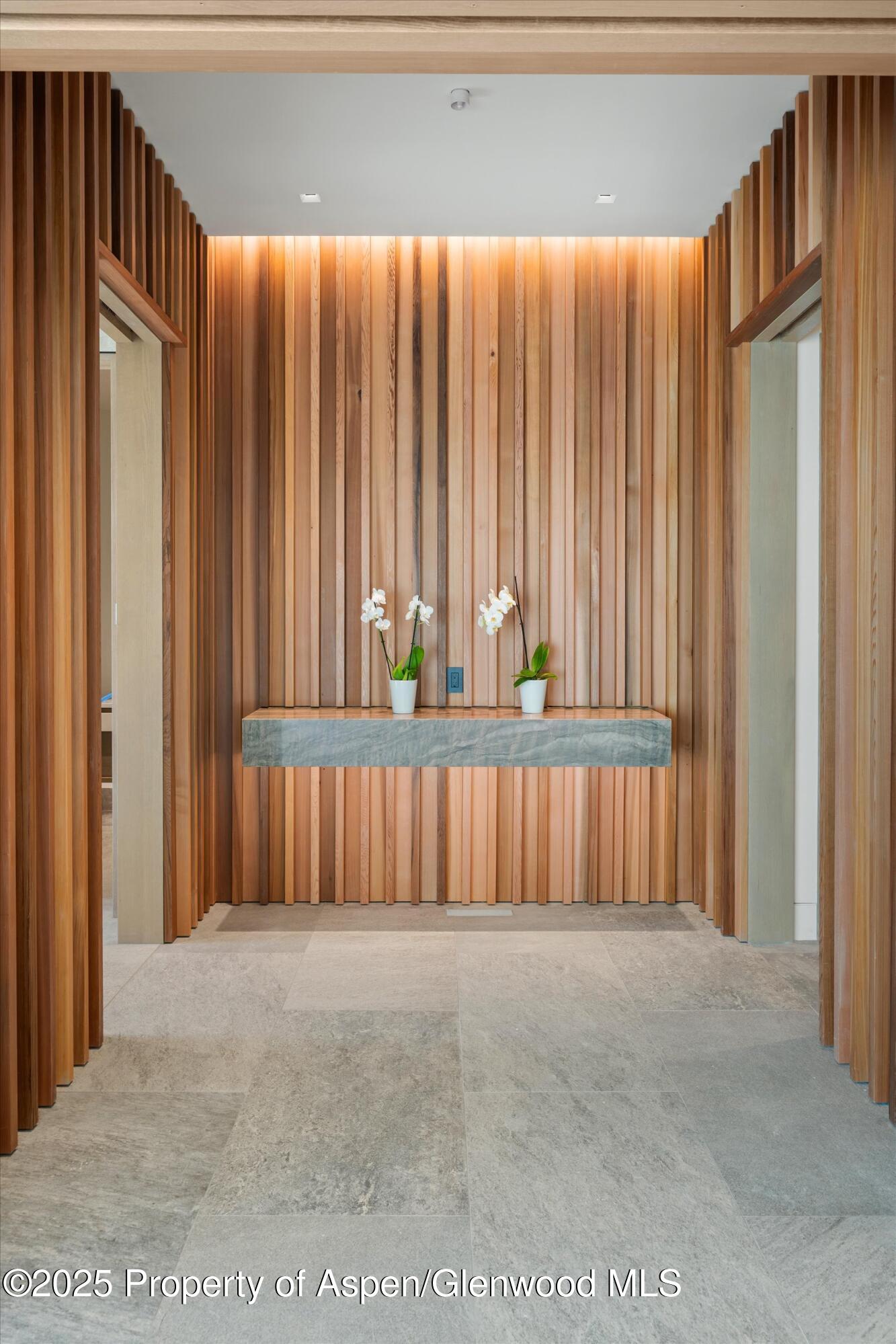 401 Carroll Drive Aspen CO 81611