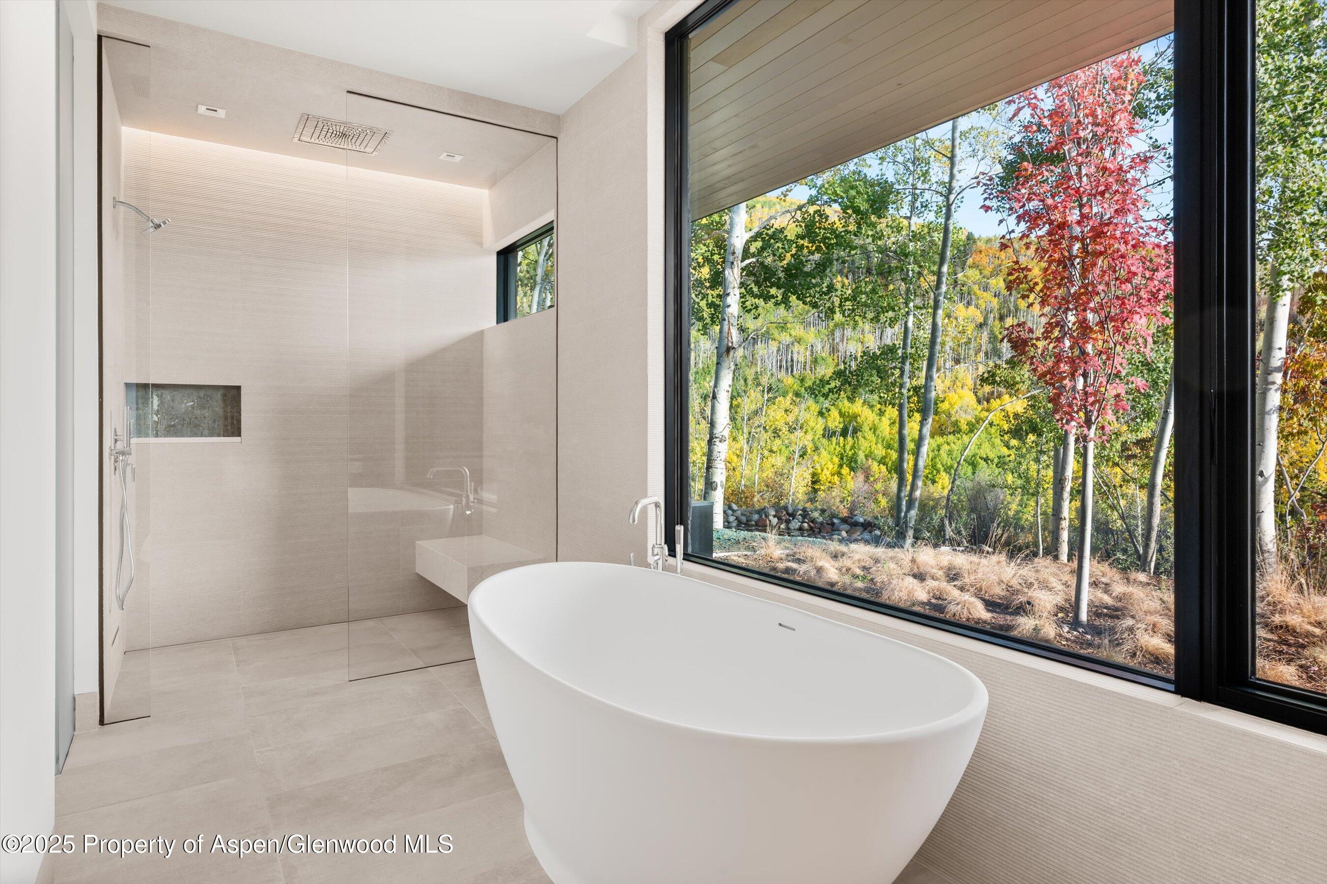 401 Carroll Drive Aspen CO 81611