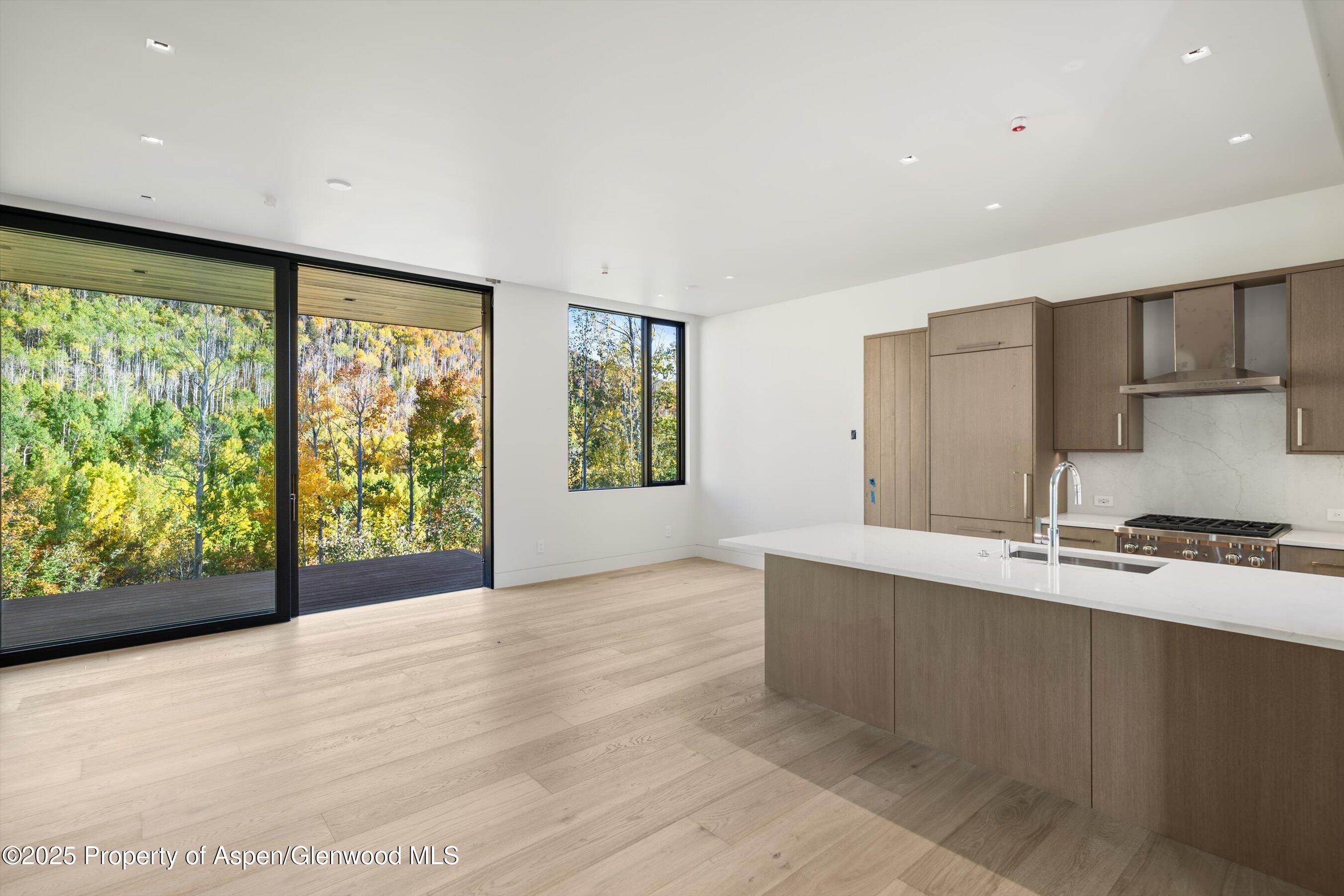 401 Carroll Drive Aspen CO 81611