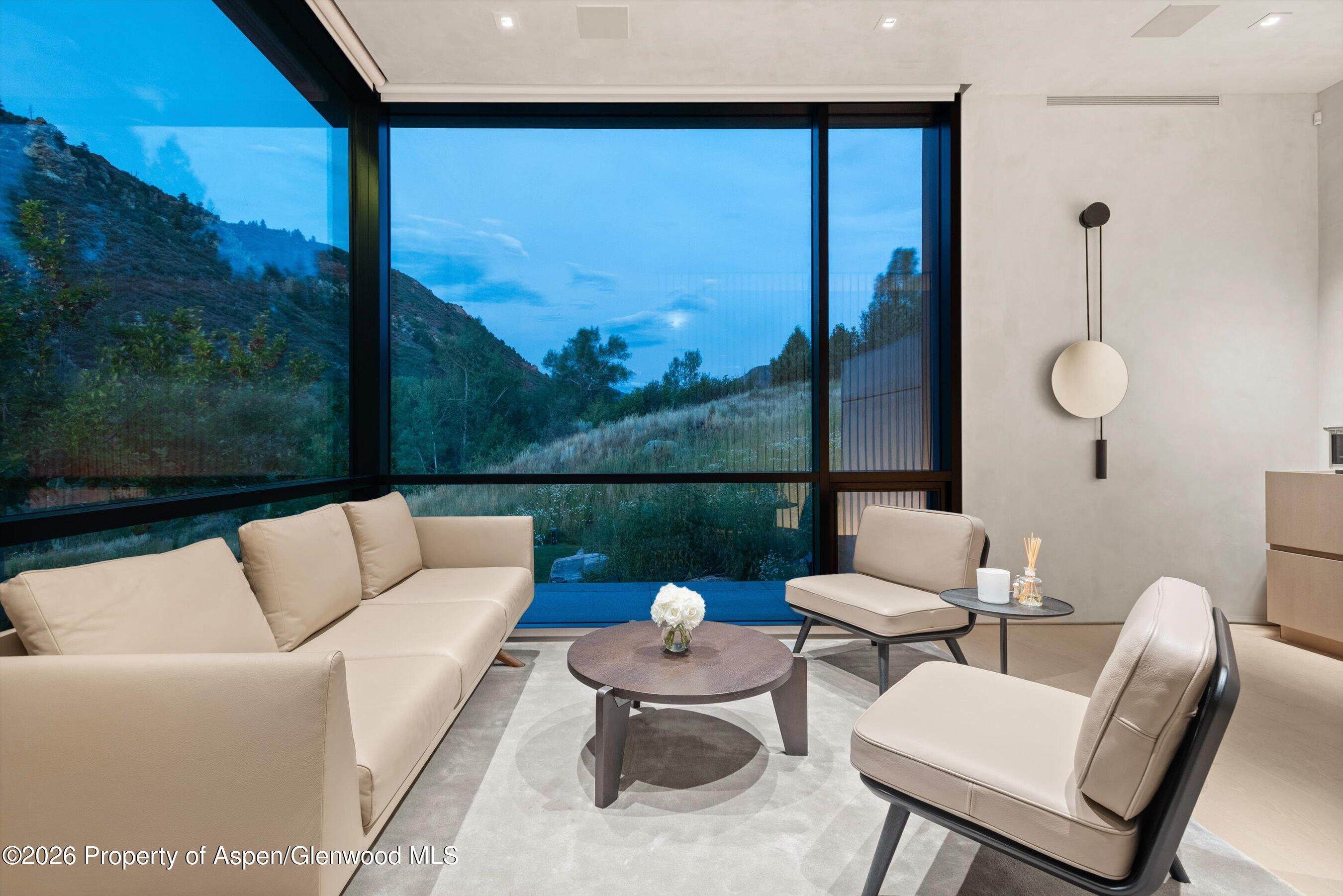 110 Coach Road Aspen CO 81611