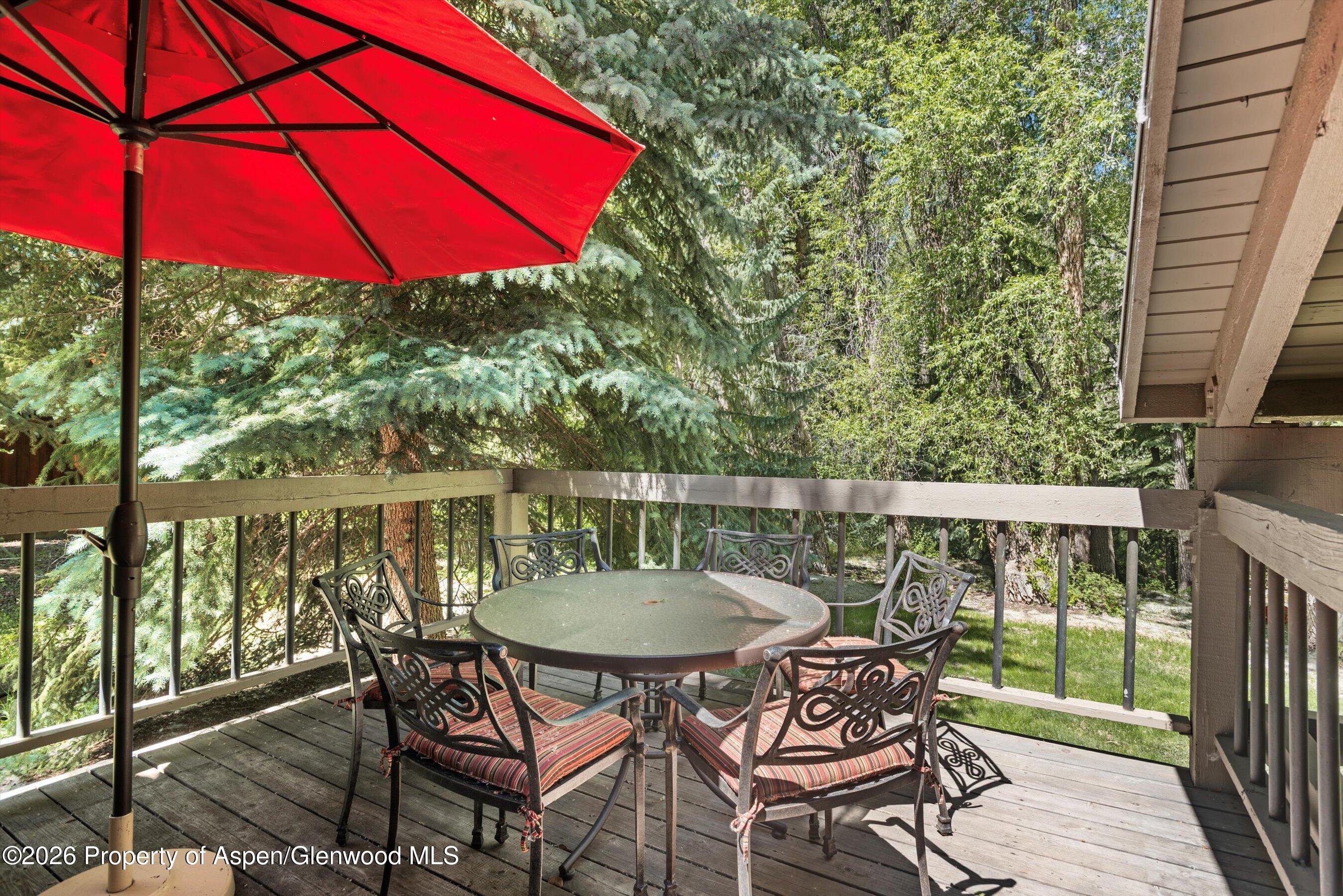 645 Sneaky Lane Aspen CO 81611