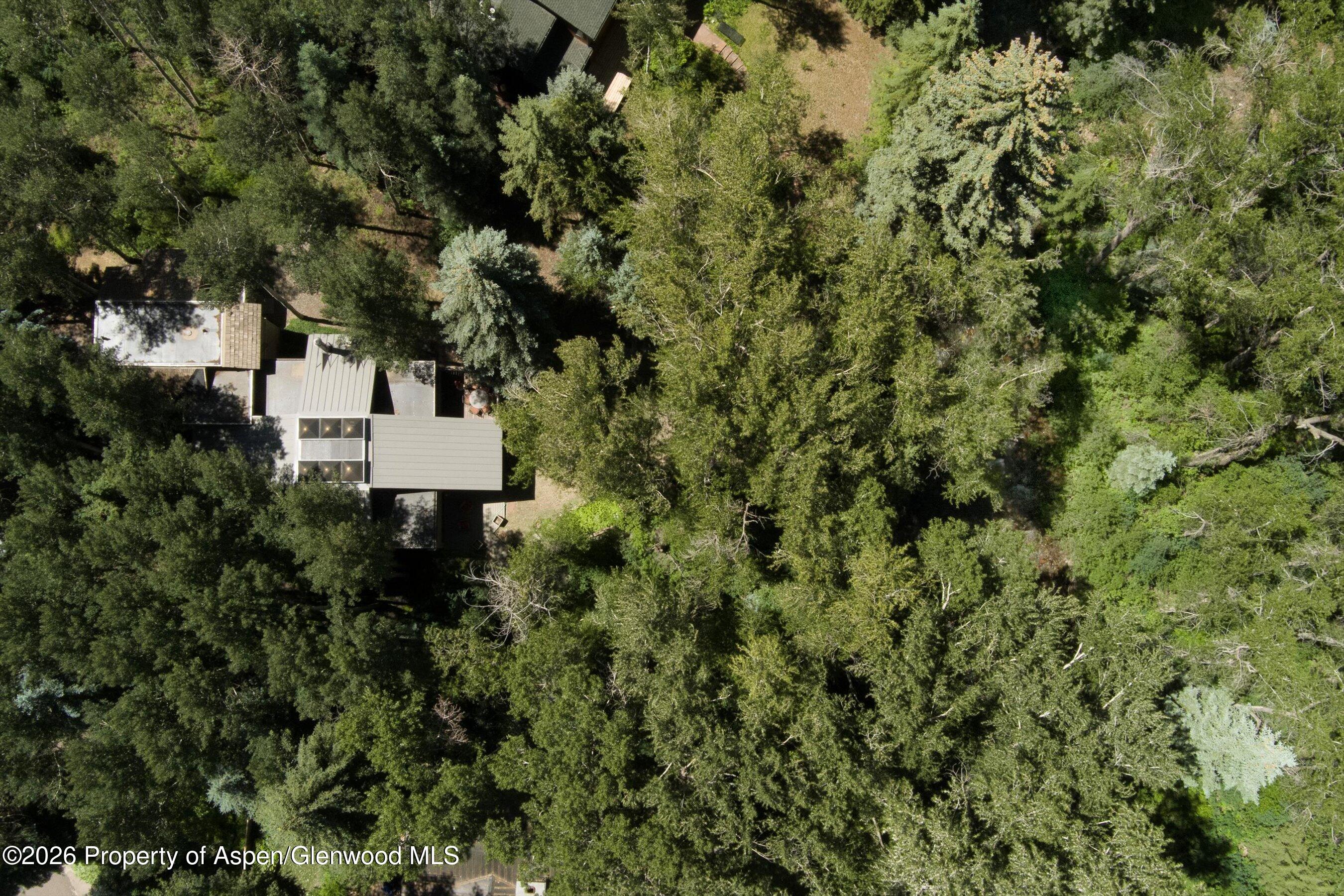 645 Sneaky Lane Aspen CO 81611