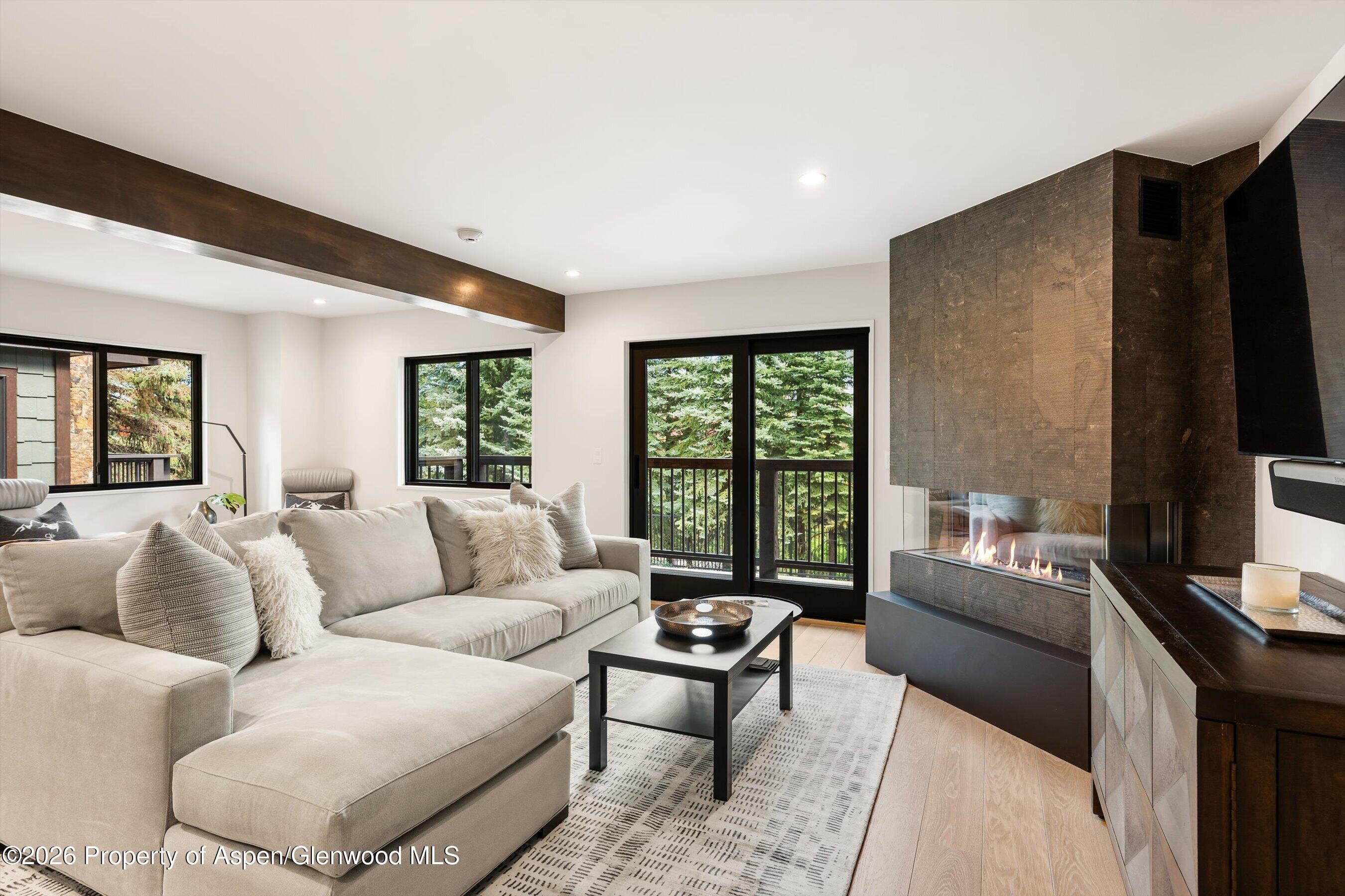 Aspen CO, 650 S Monarch Street, Unit 7