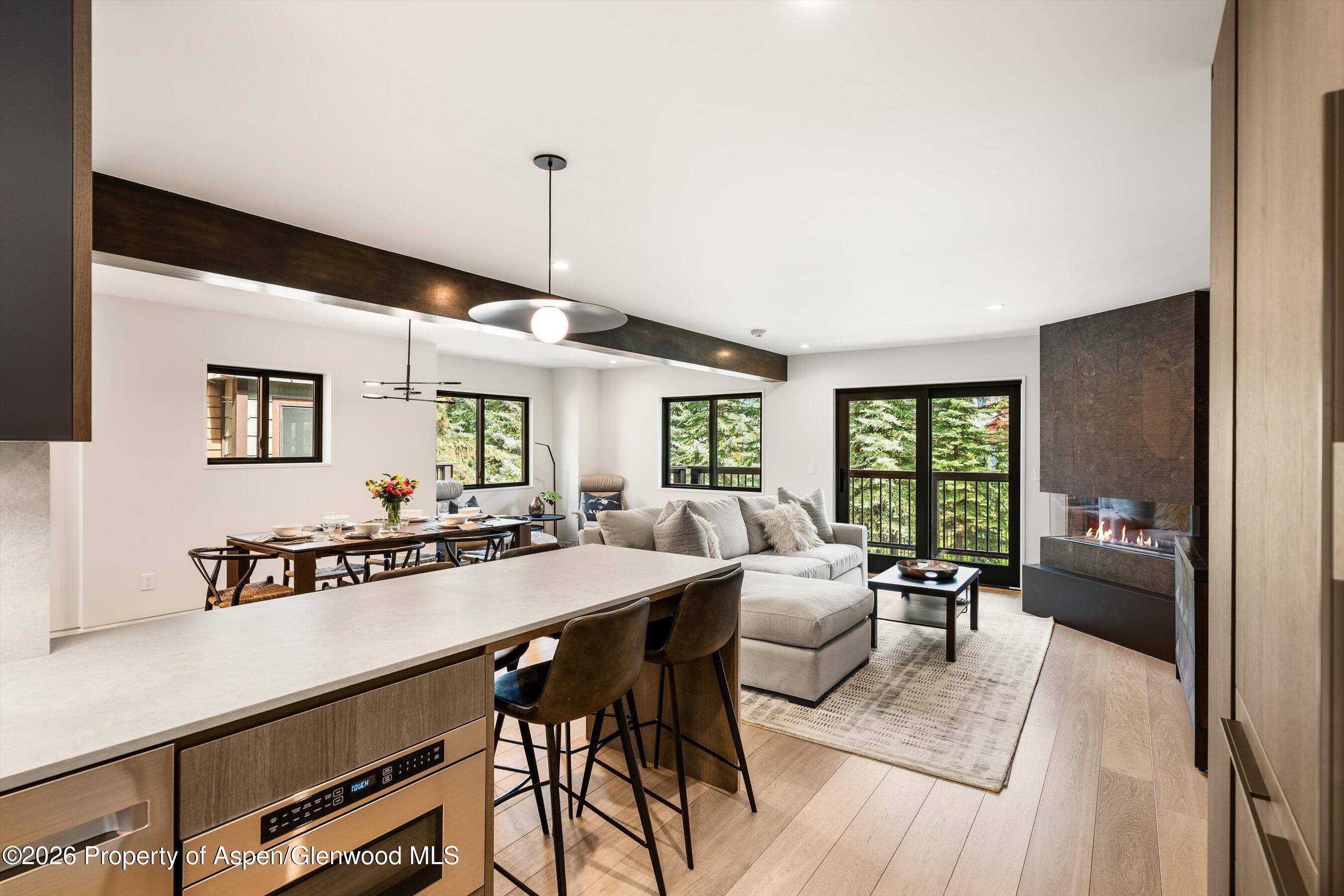 650 S Monarch Street Aspen CO 81611