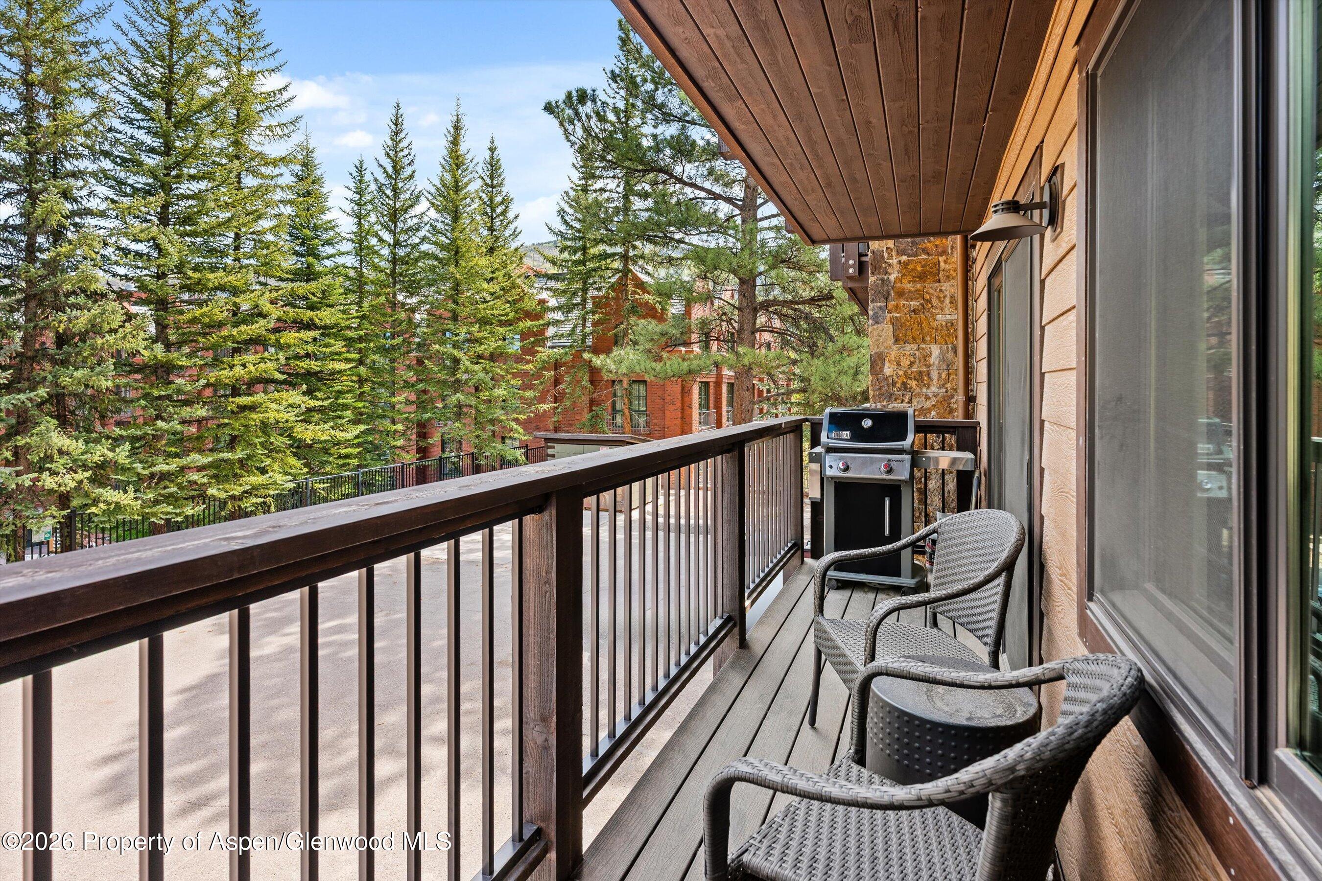650 S Monarch Street Aspen CO 81611
