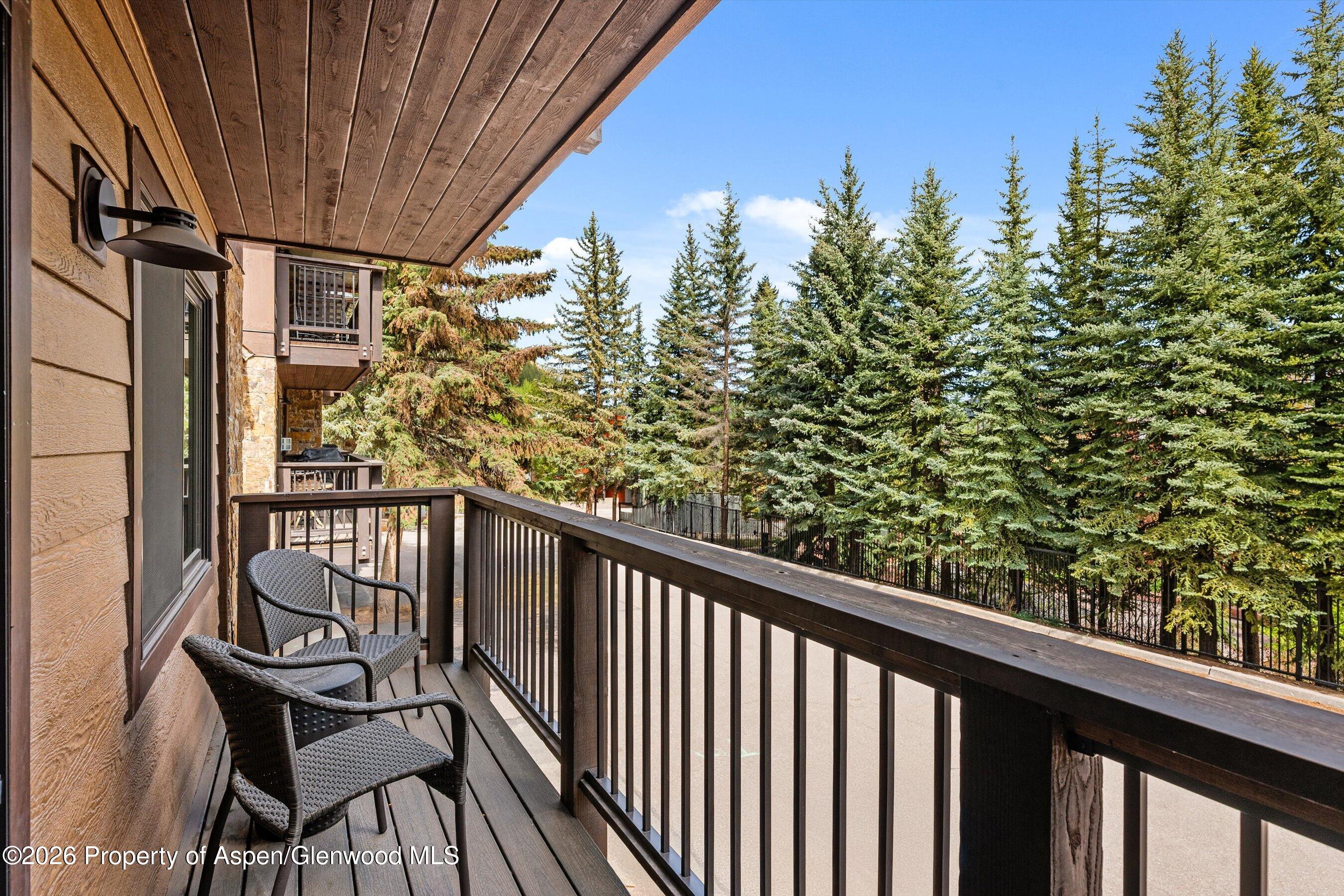 650 S Monarch Street Aspen CO 81611