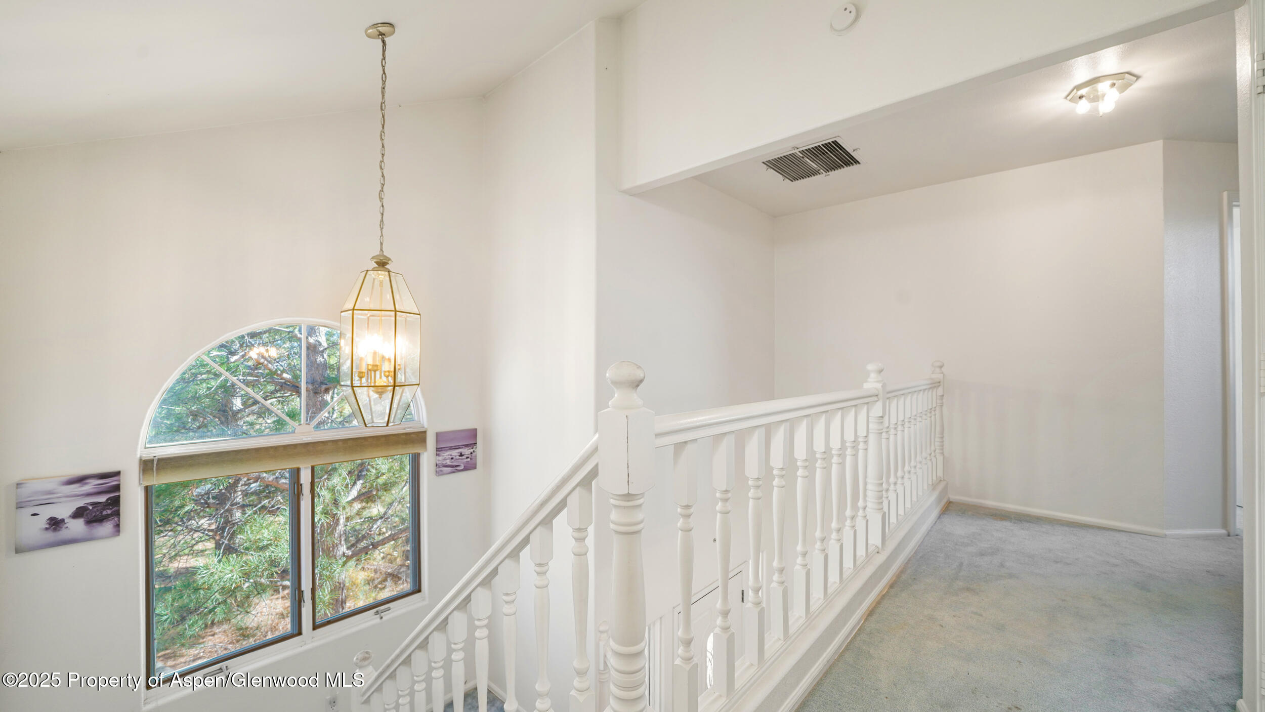 949 Edelweiss Rifle CO 81650