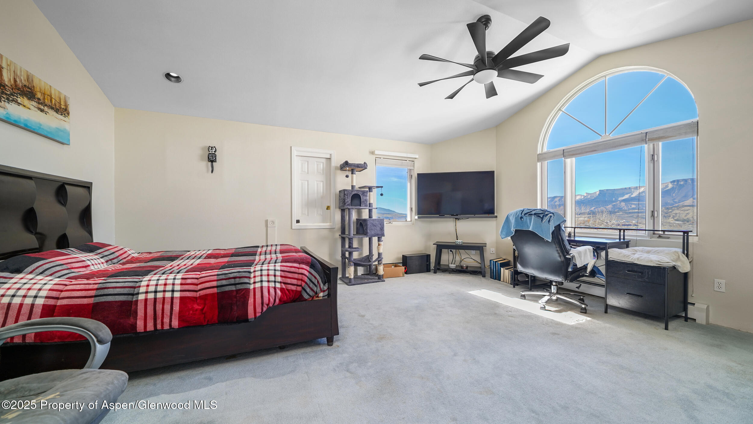 949 Edelweiss Rifle CO 81650