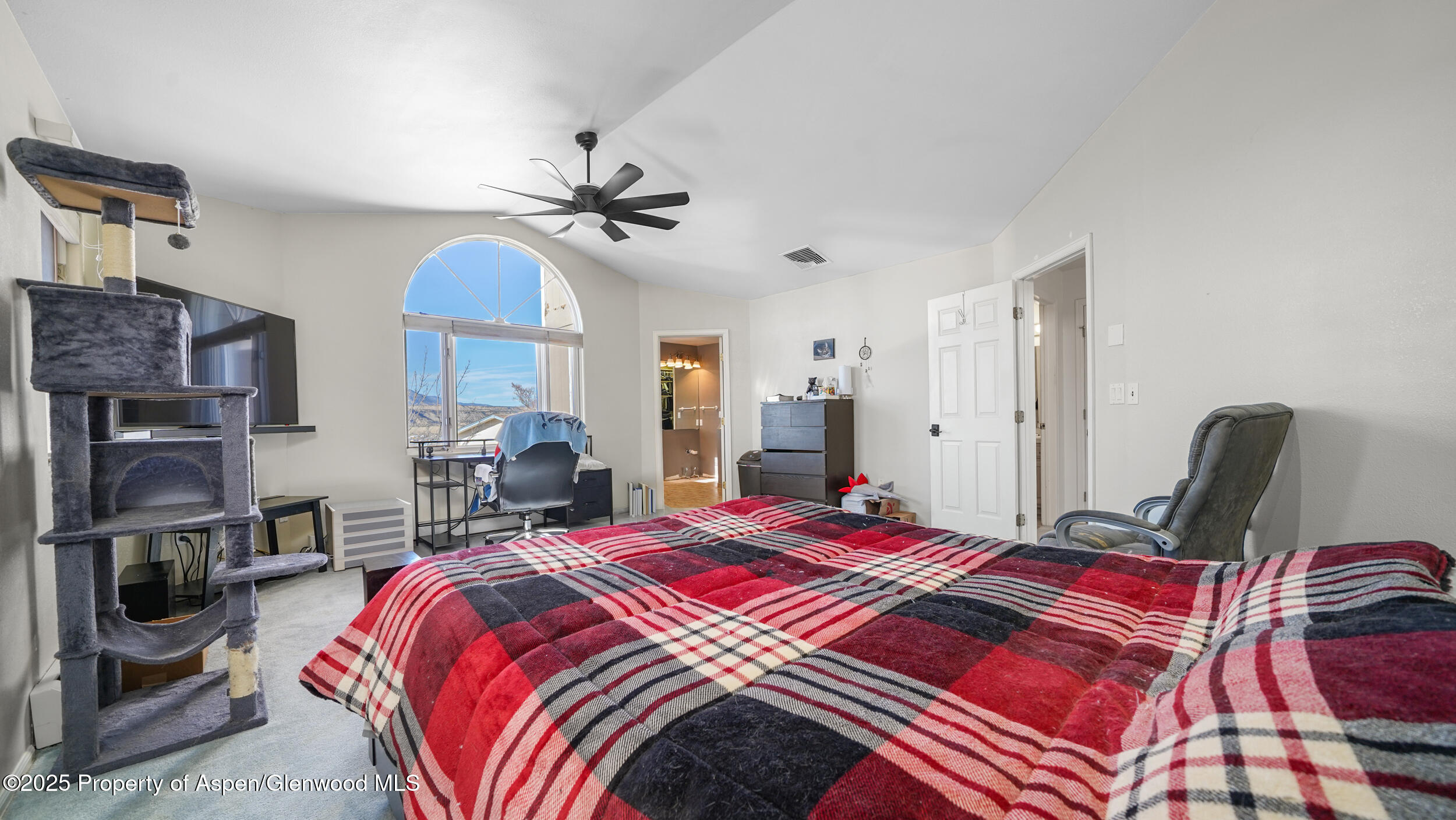 949 Edelweiss Rifle CO 81650