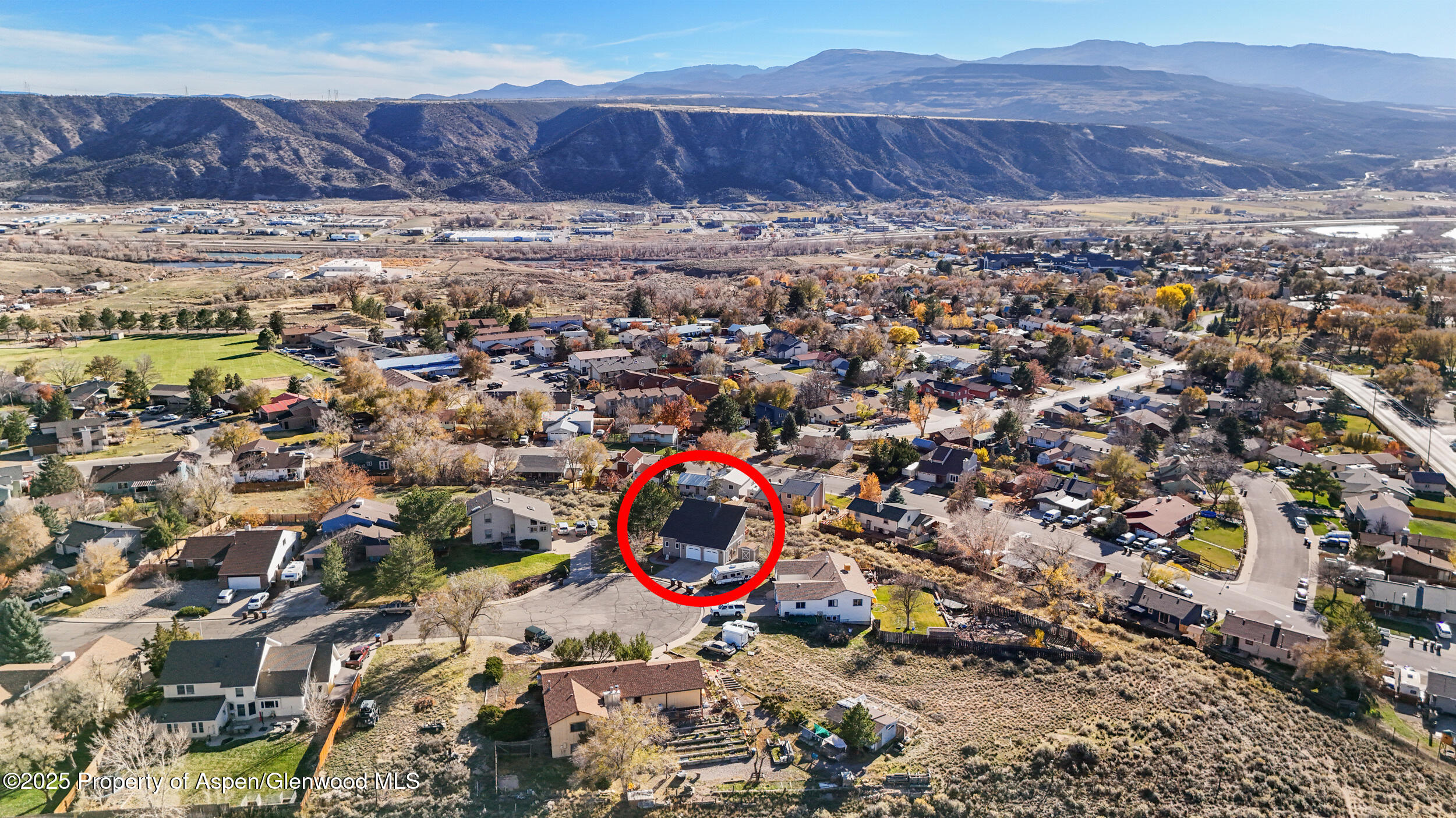 949 Edelweiss Rifle CO 81650