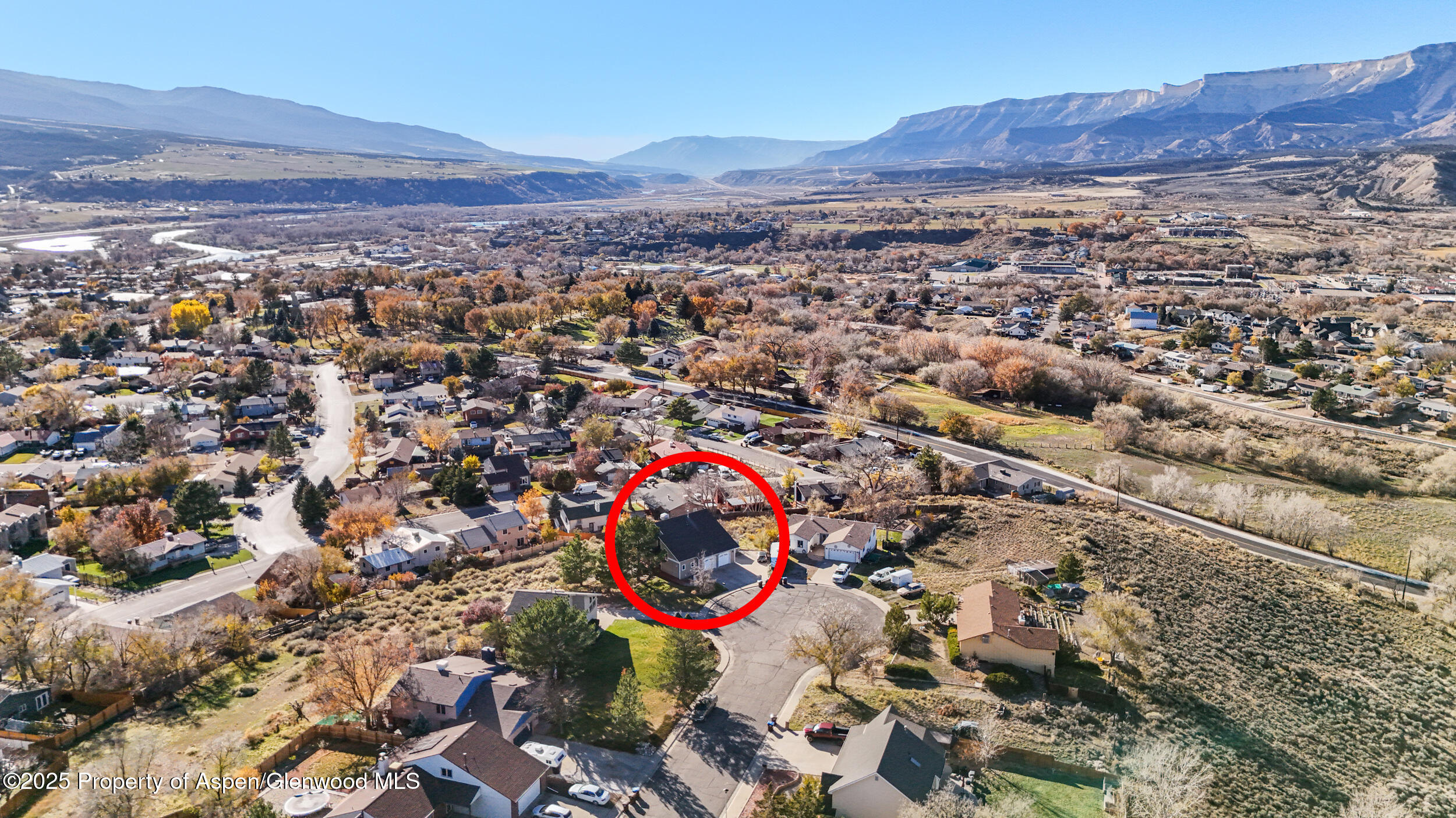 949 Edelweiss Rifle CO 81650