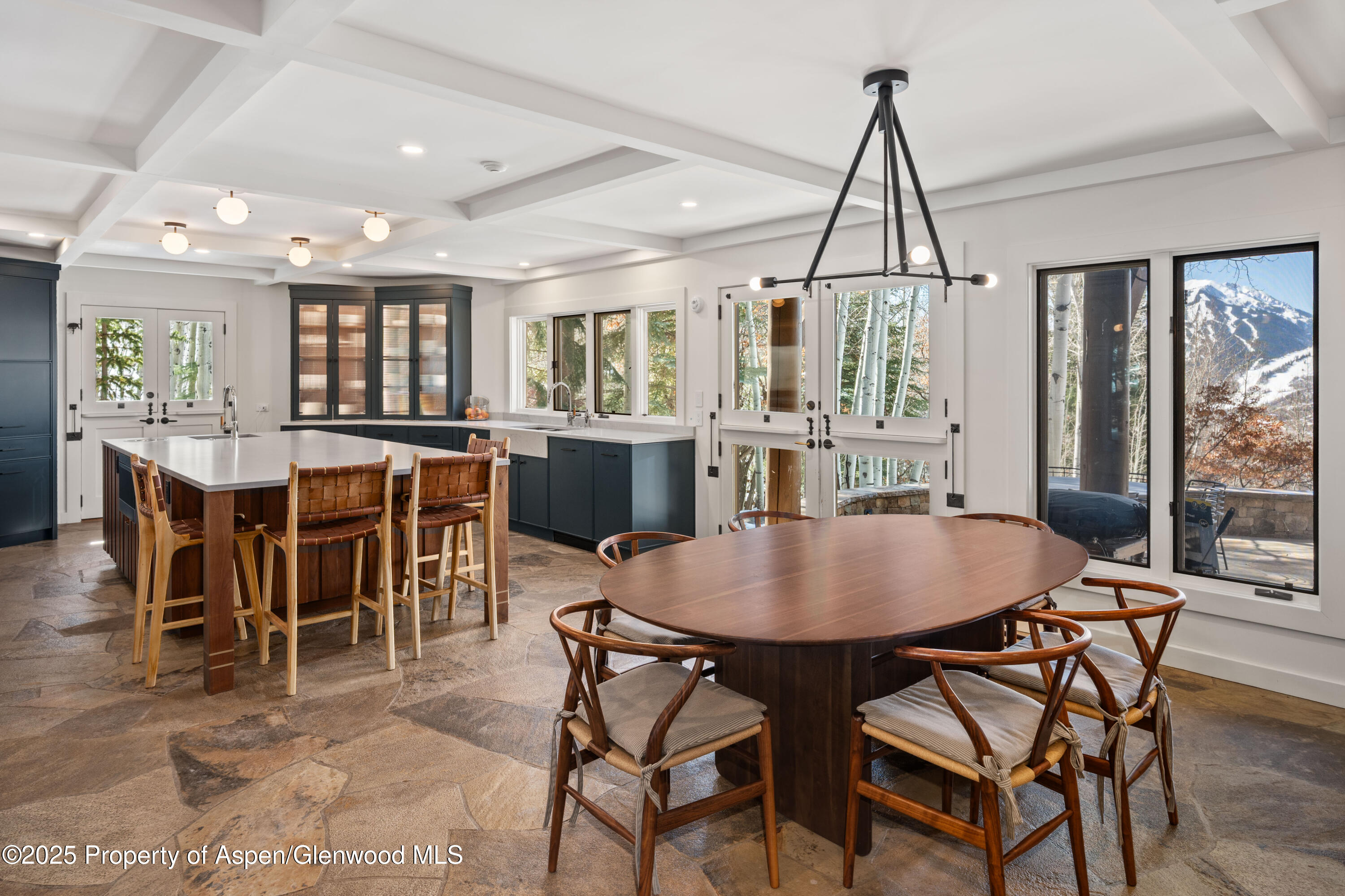 156 Eppley Drive Aspen CO 81611