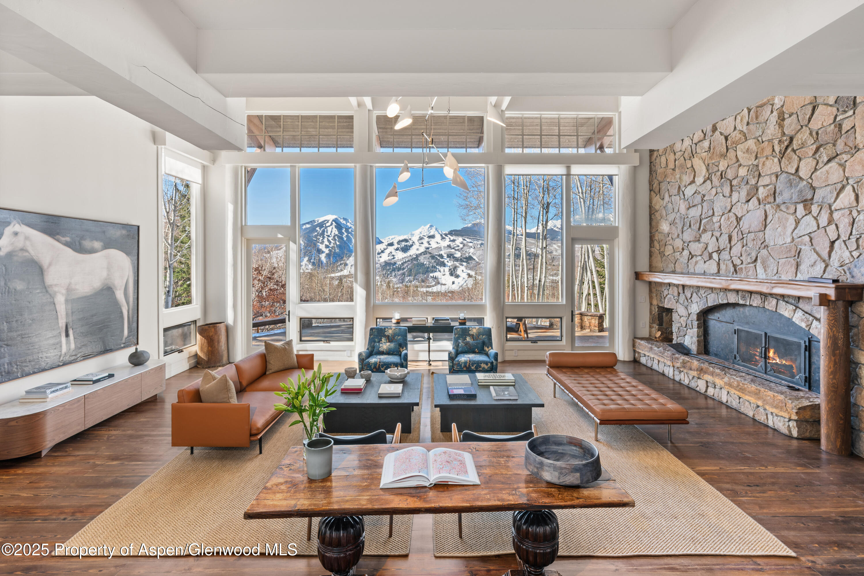 156 Eppley Drive Aspen CO 81611