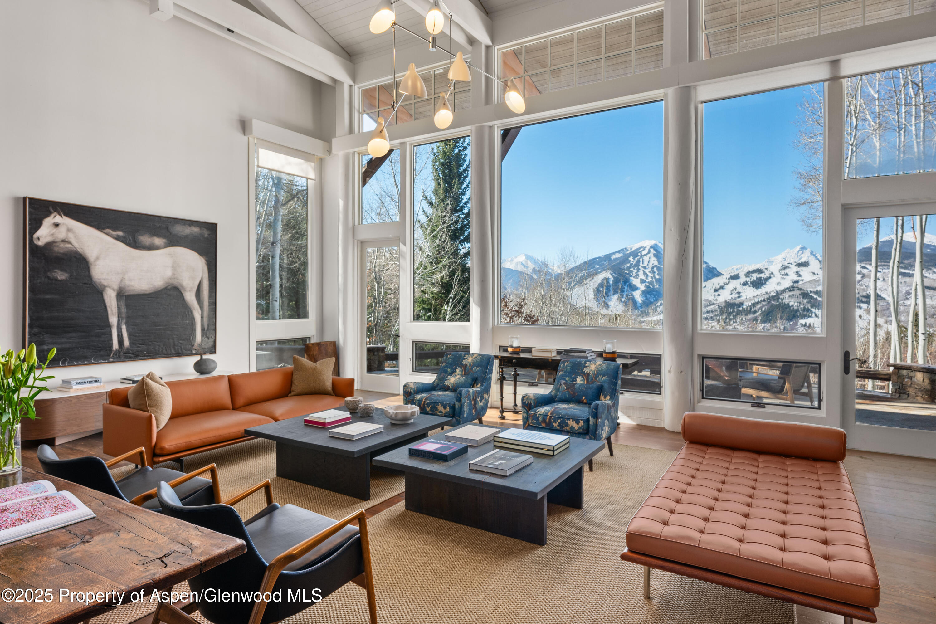 156 Eppley Drive Aspen CO 81611