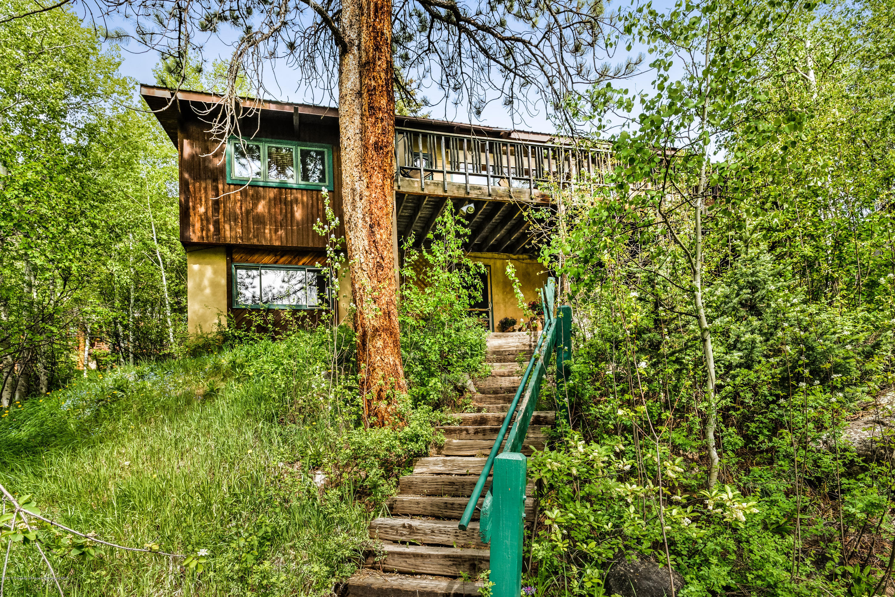 118 E Lupine Drive Aspen CO 81611