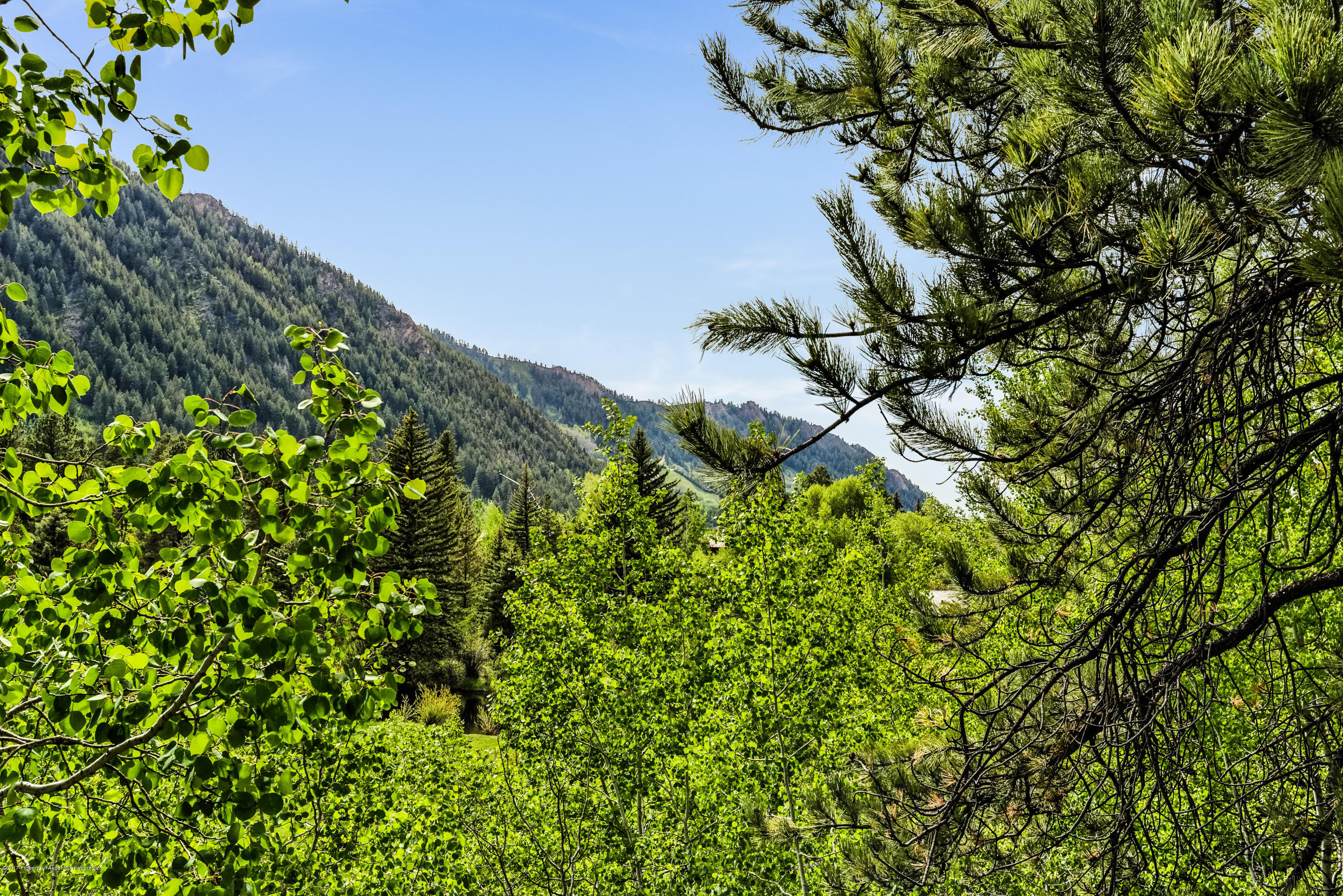 118 E Lupine Drive Aspen CO 81611