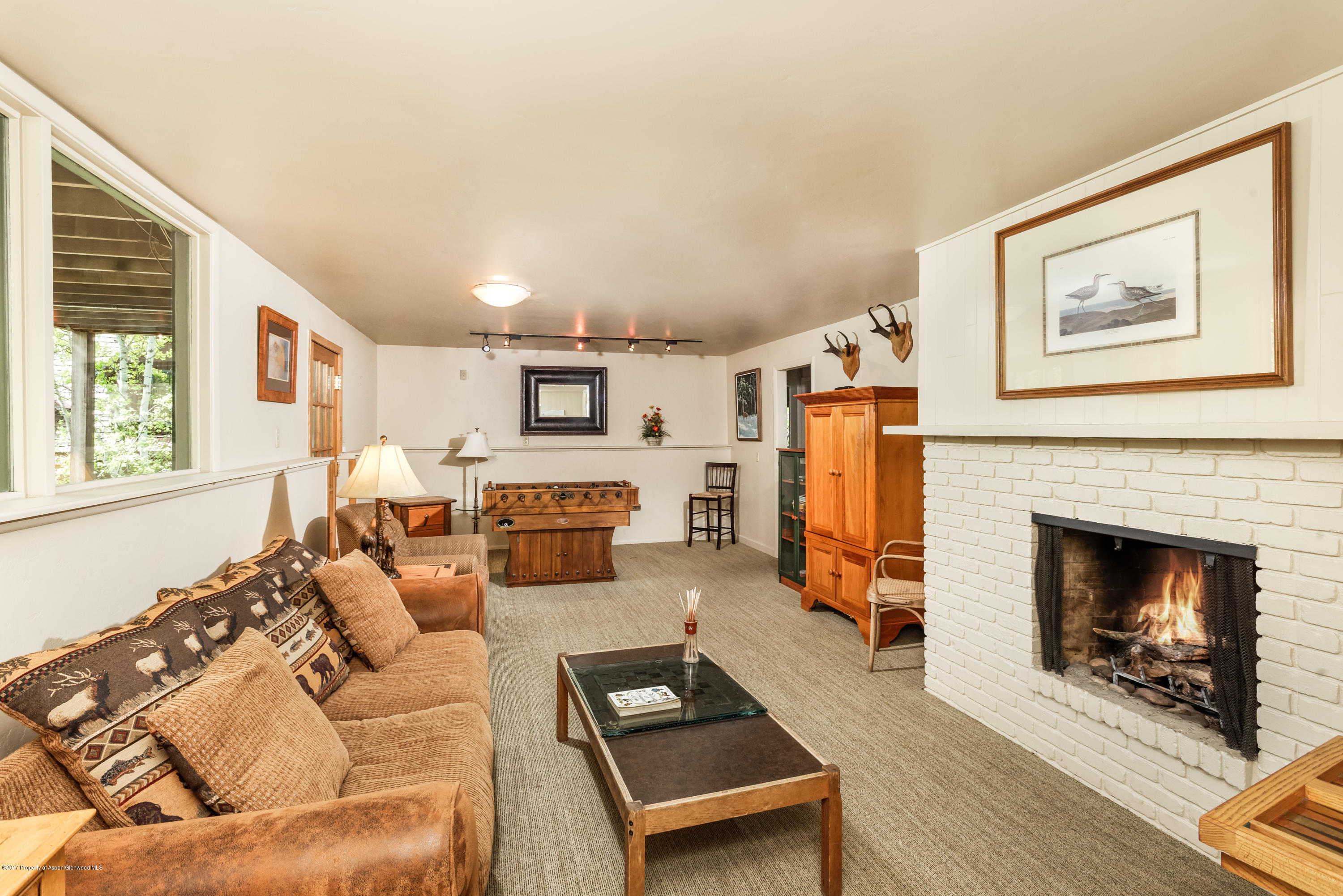 118 E Lupine Drive Aspen CO 81611