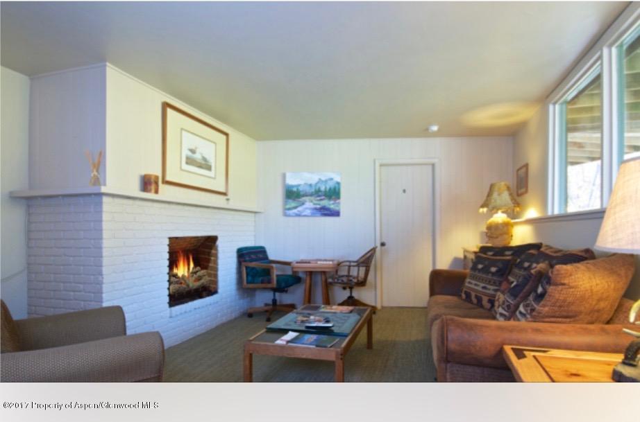 118 E Lupine Drive Aspen CO 81611