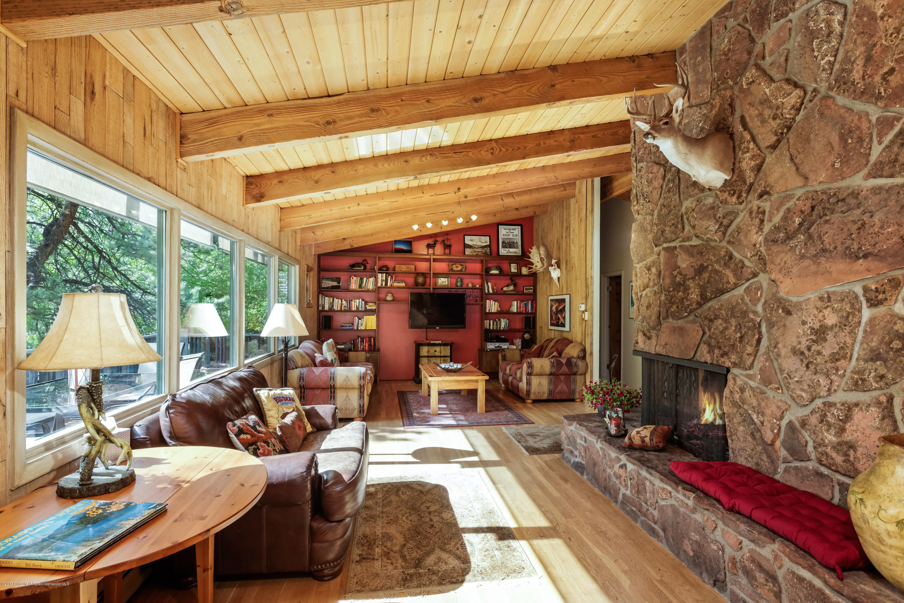 118 E Lupine Drive Aspen CO 81611