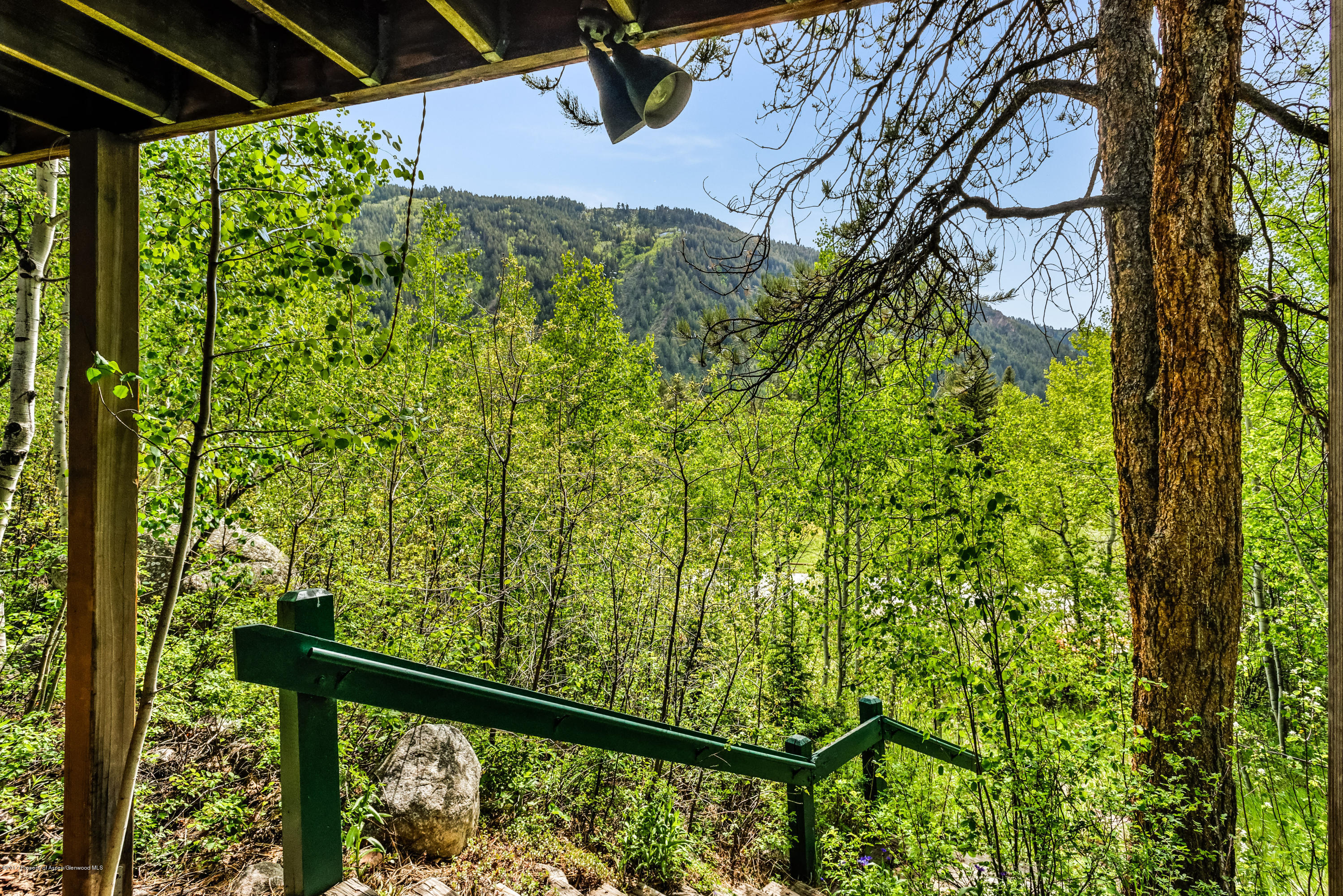 118 E Lupine Drive Aspen CO 81611