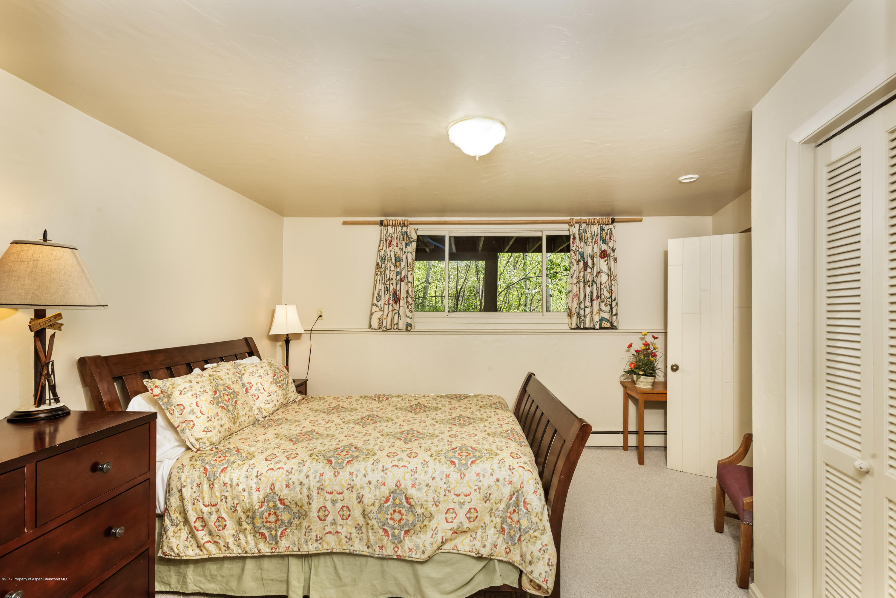 118 E Lupine Drive Aspen CO 81611