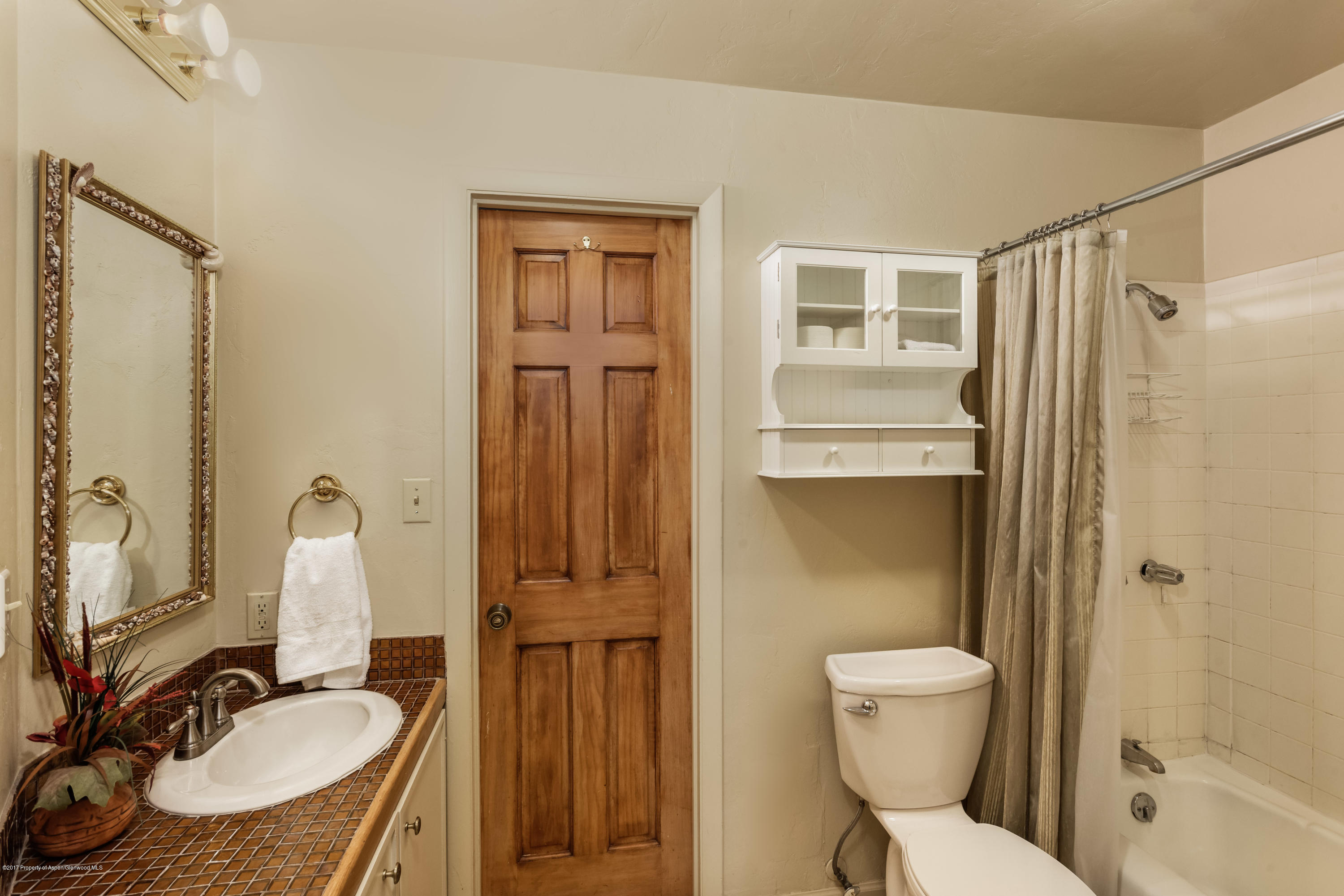 118 E Lupine Drive Aspen CO 81611