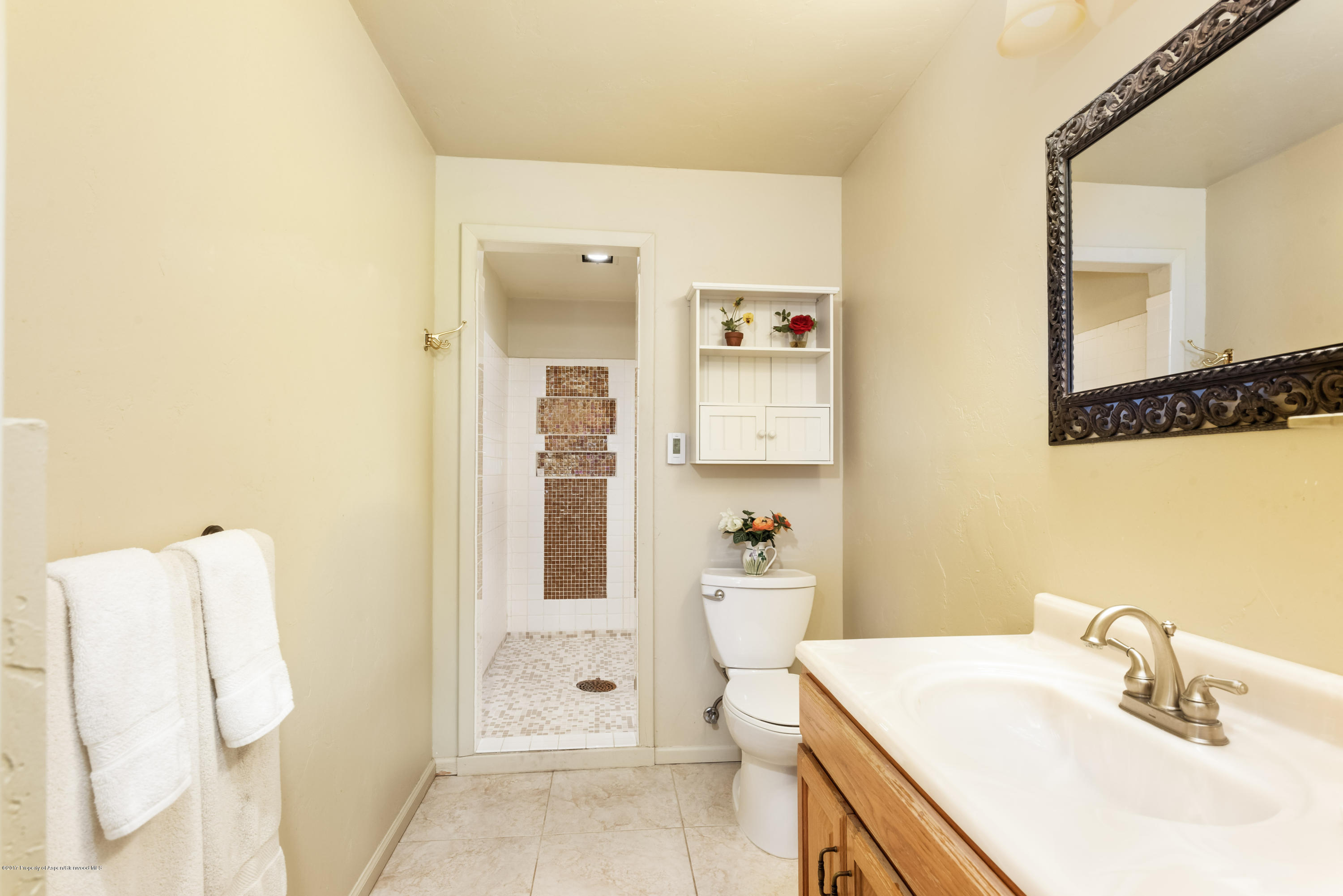 118 E Lupine Drive Aspen CO 81611