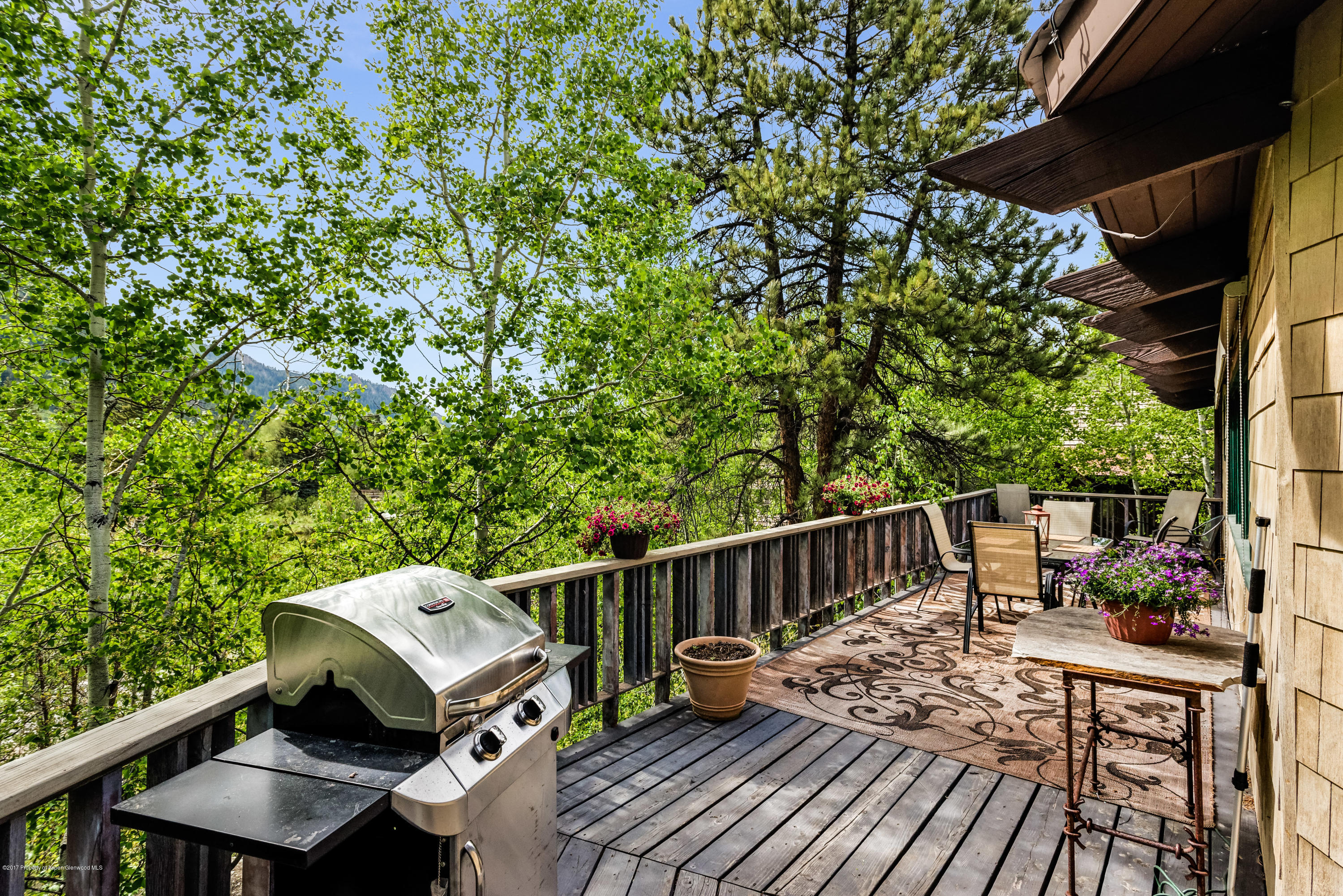 118 E Lupine Drive Aspen CO 81611