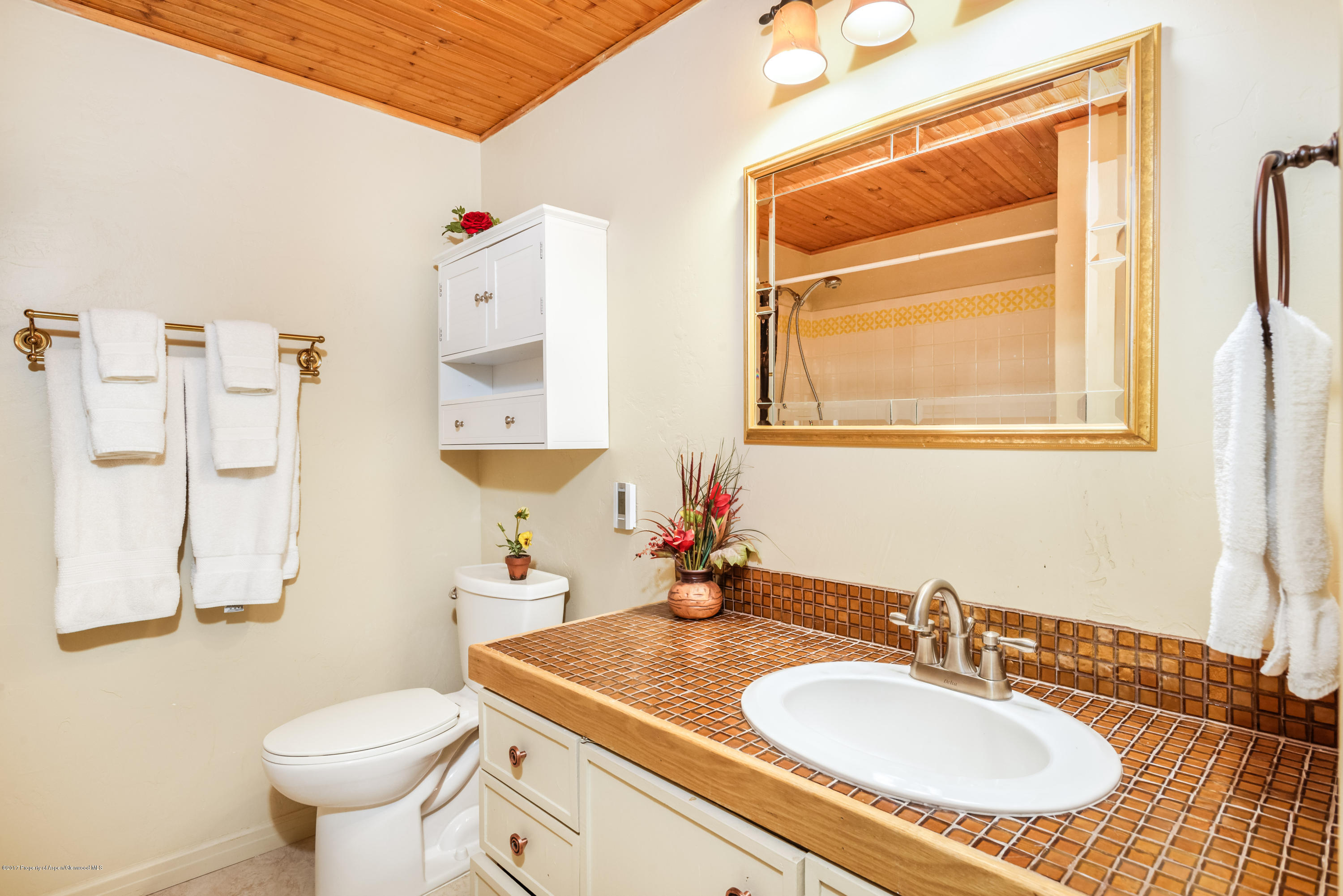 118 E Lupine Drive Aspen CO 81611