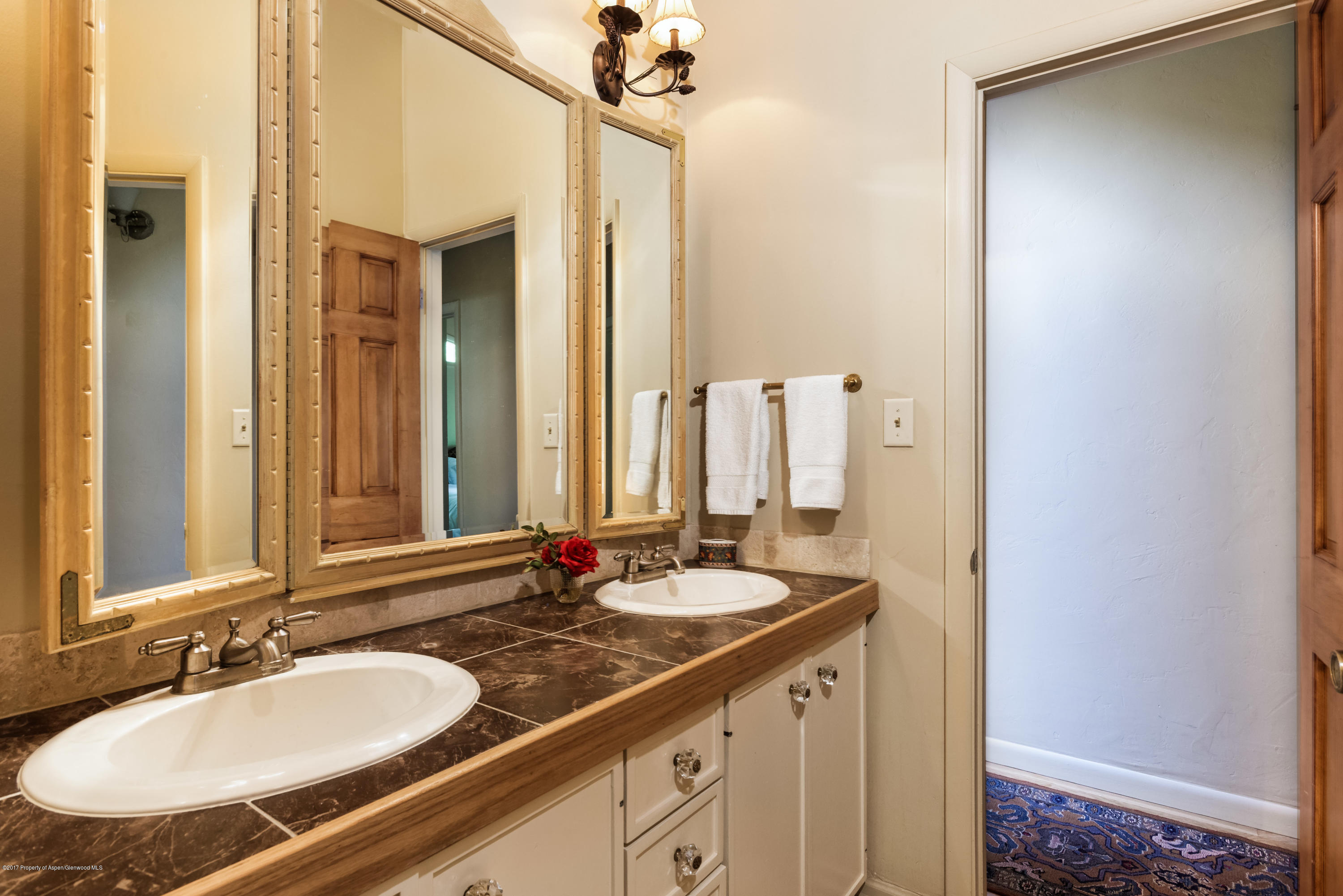 118 E Lupine Drive Aspen CO 81611