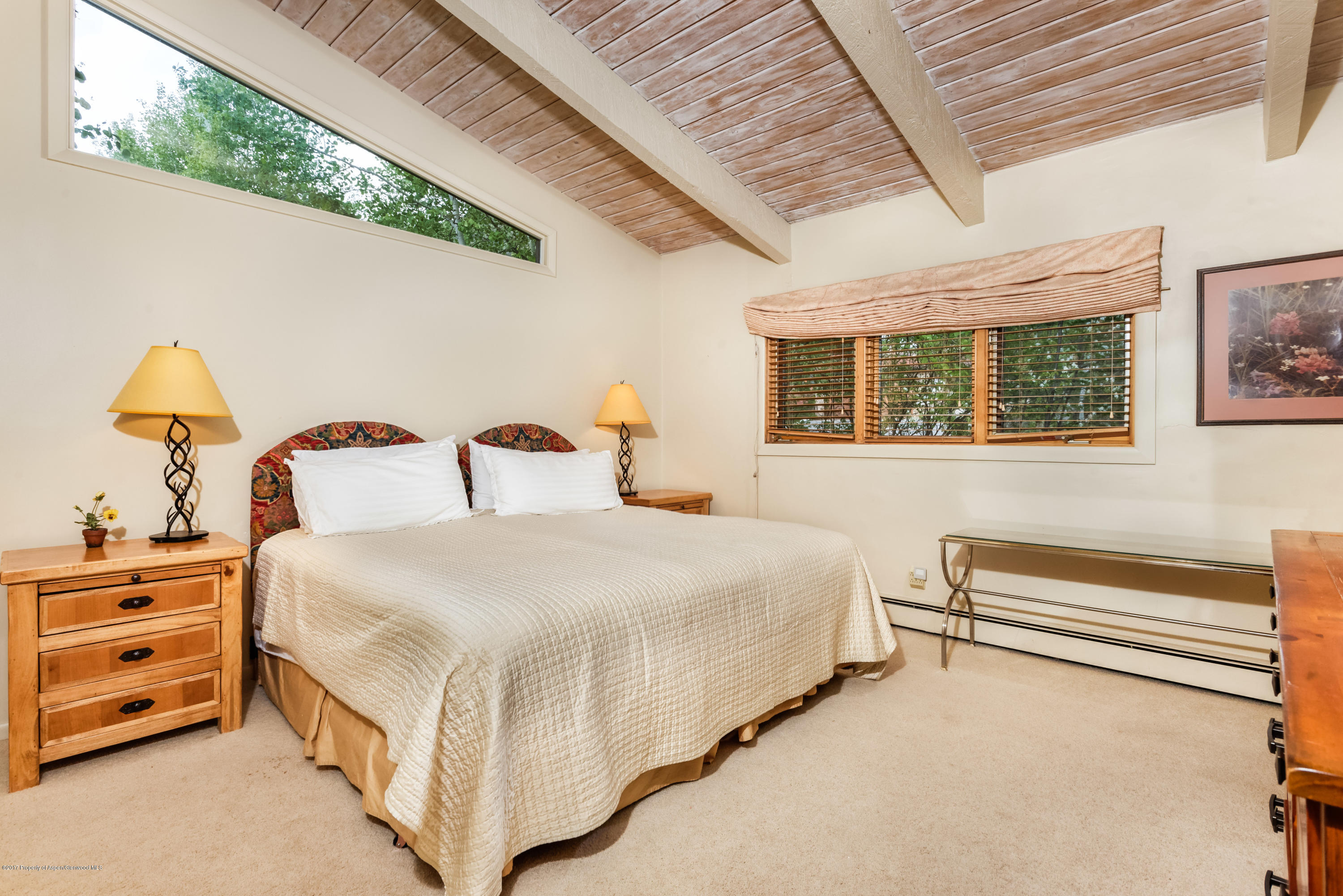 118 E Lupine Drive Aspen CO 81611