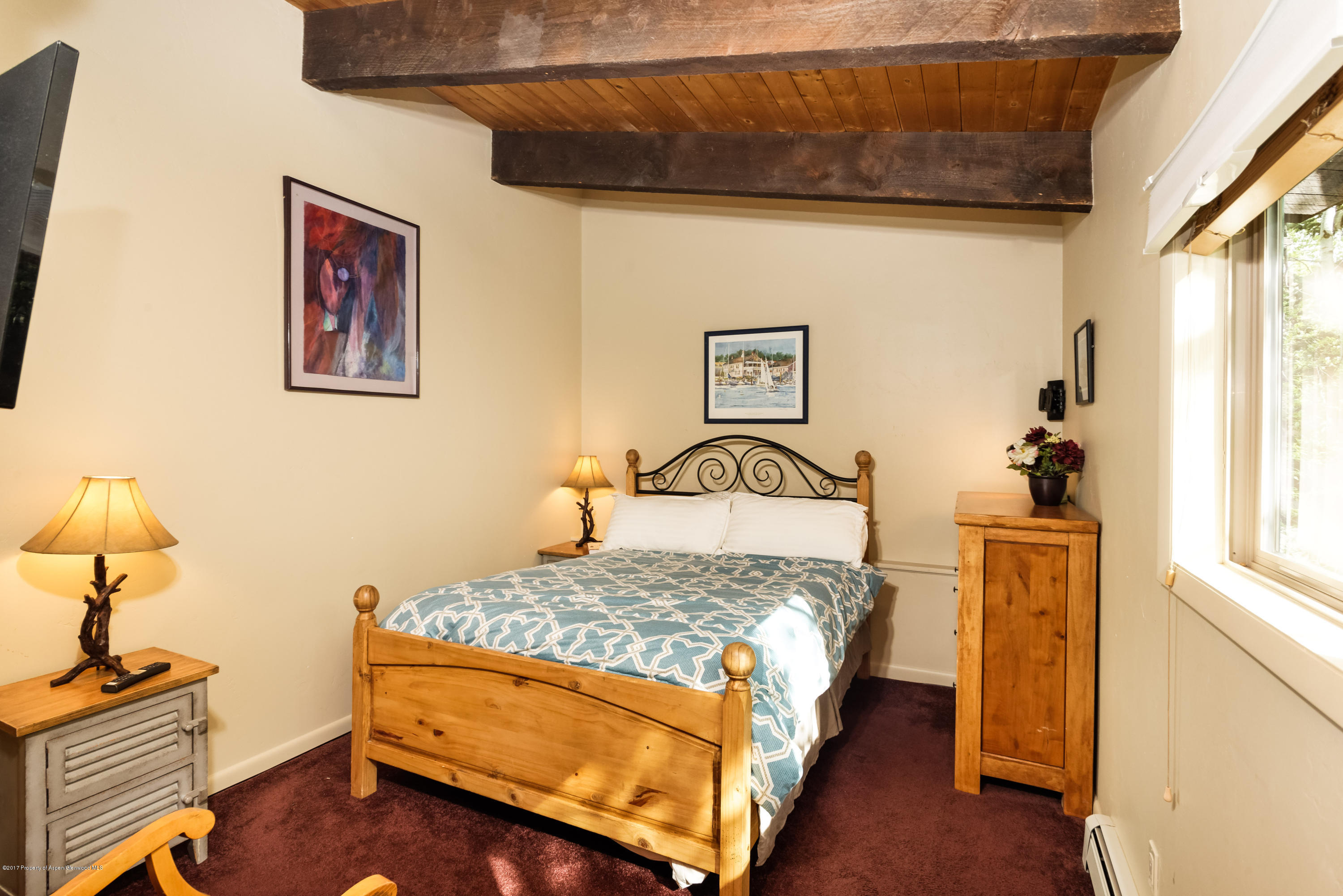 118 E Lupine Drive Aspen CO 81611